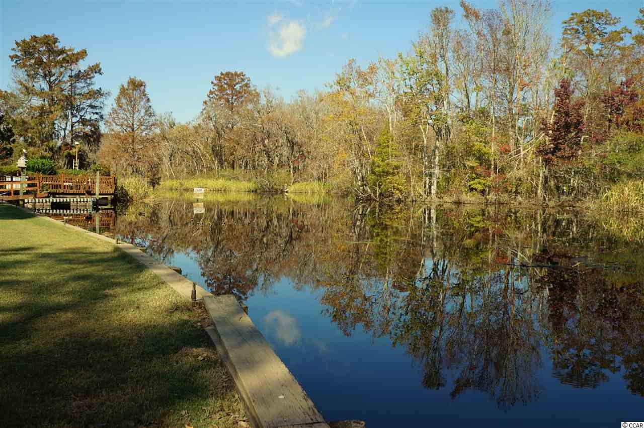 2798 Waverly Road Pawleys Island, SC 29585 - Photo 36 of 40 Gallery Image 36