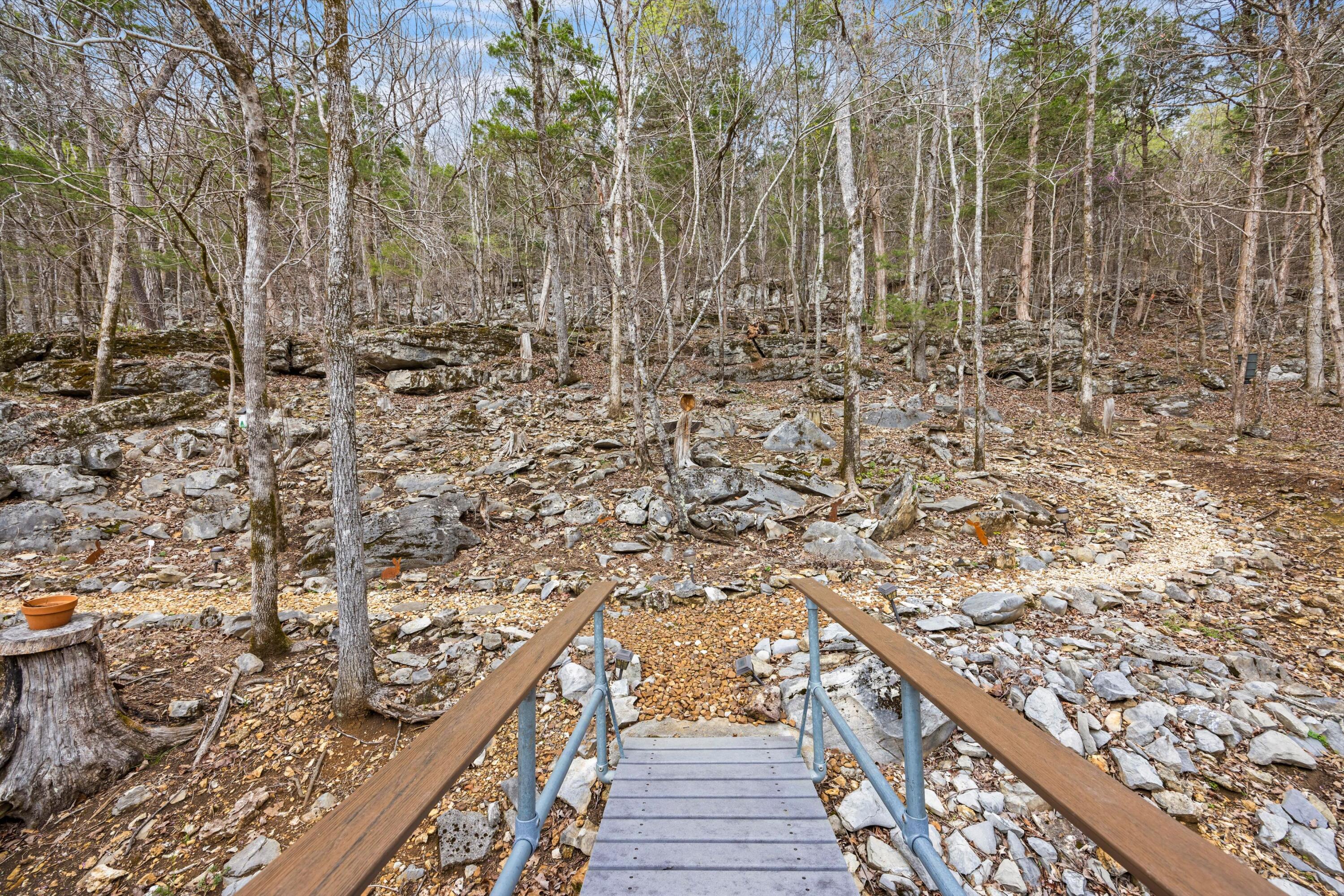 453 Antler Drive Rising Fawn, GA 30738 - Photo 49 of 58 49-090A9745
