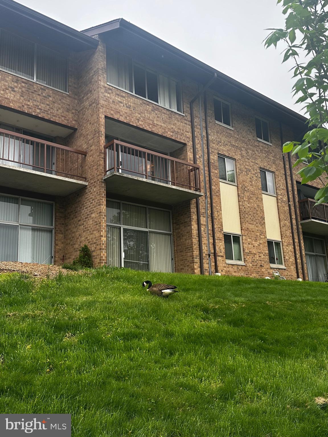 9926 Walker House Road, Unit 99263 Gaithersburg, MD 20886 - Photo 12 of 24 Exterior