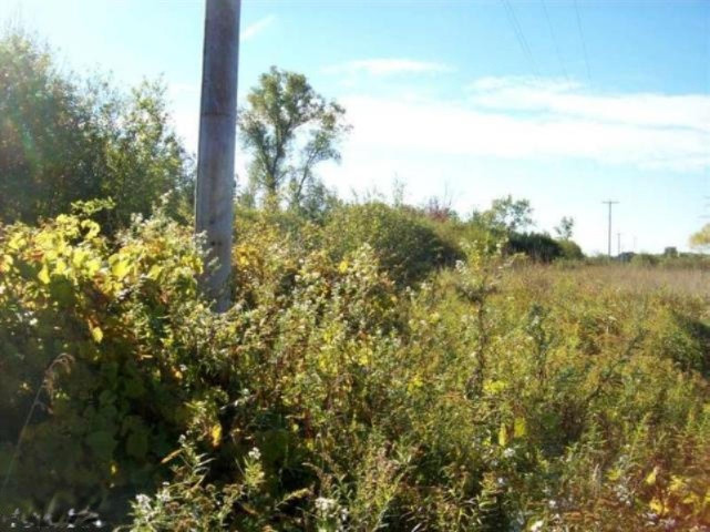 Par E Maple Island Road Holton, MI 49425 - Photo 1 of 9 20140715011437591368000000-o
