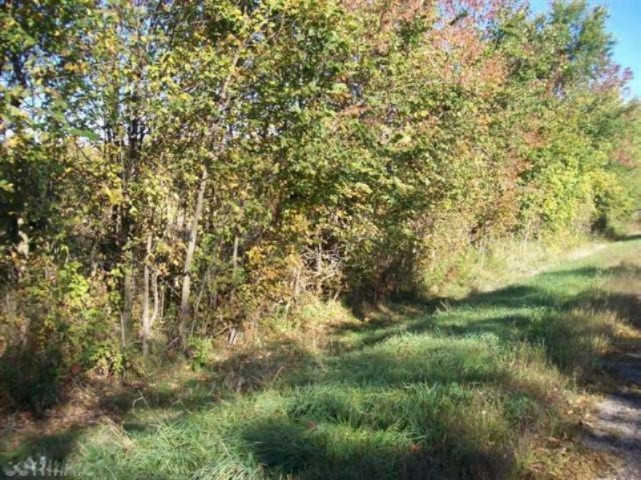 Par E Maple Island Road Holton, MI 49425 - Photo 4 of 9 20140715011438185204000000-o