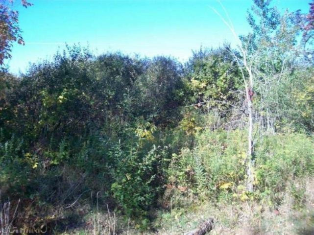 Par E Maple Island Road Holton, MI 49425 - Photo 5 of 9 20140715011438387826000000-o