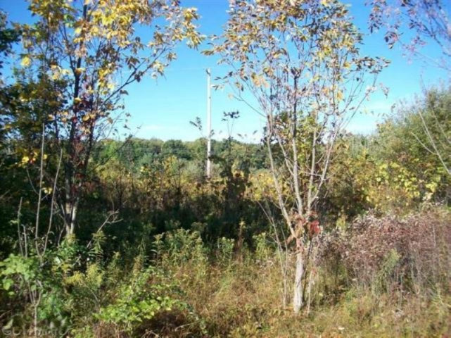Par E Maple Island Road Holton, MI 49425 - Photo 6 of 9 20140715011438595875000000-o