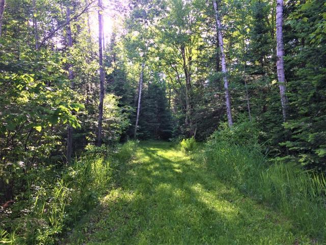 N11690 Cth F Phillips, WI 54555 - Photo 2 of 17 Gallery Image 2