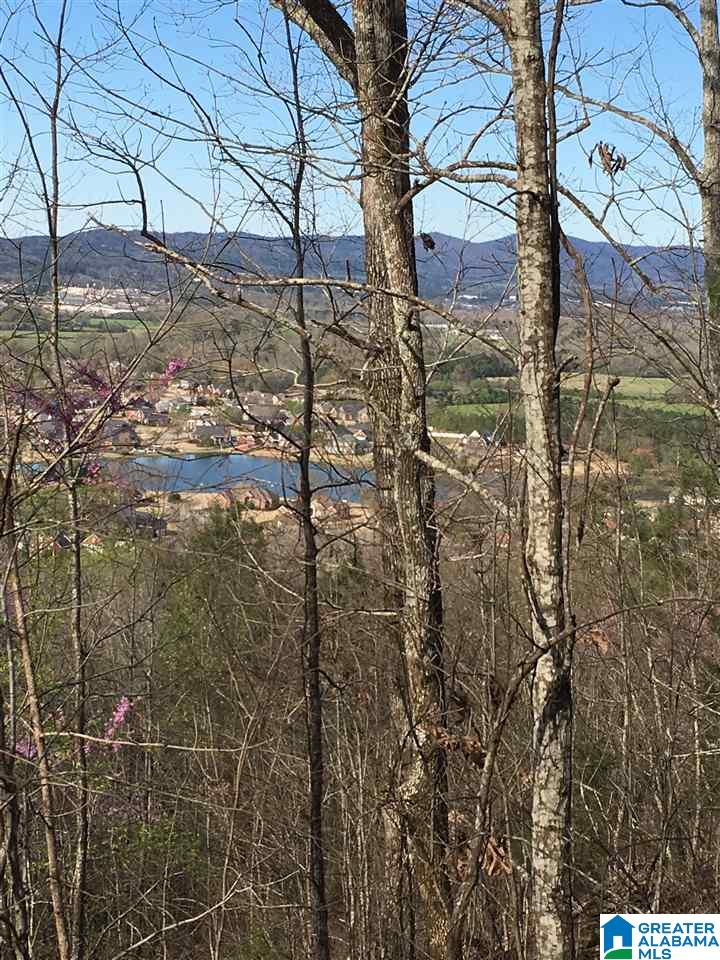 230 County Line Road Oxford, AL 36203 - Photo 26 of 50