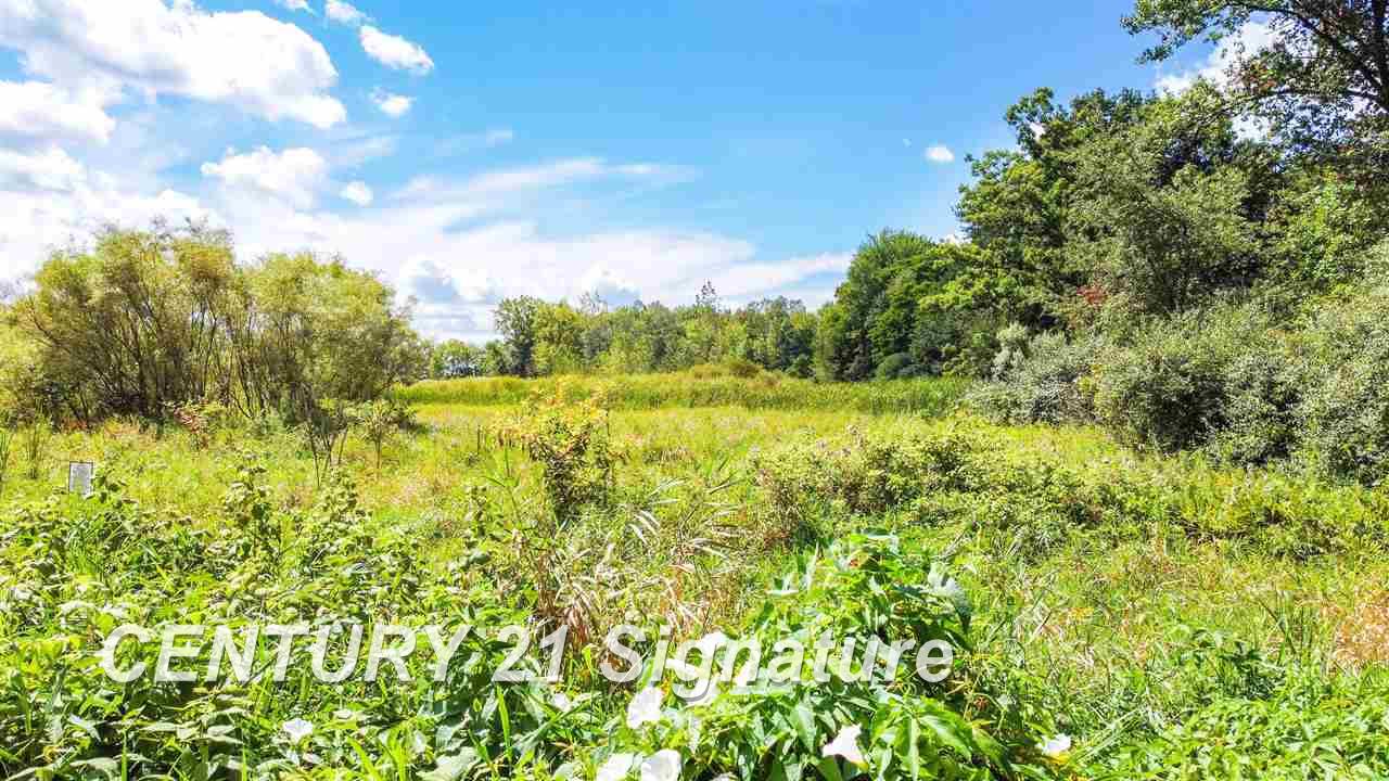 16600 Ederer Road Hemlock, MI 48626 - Photo 20 of 25