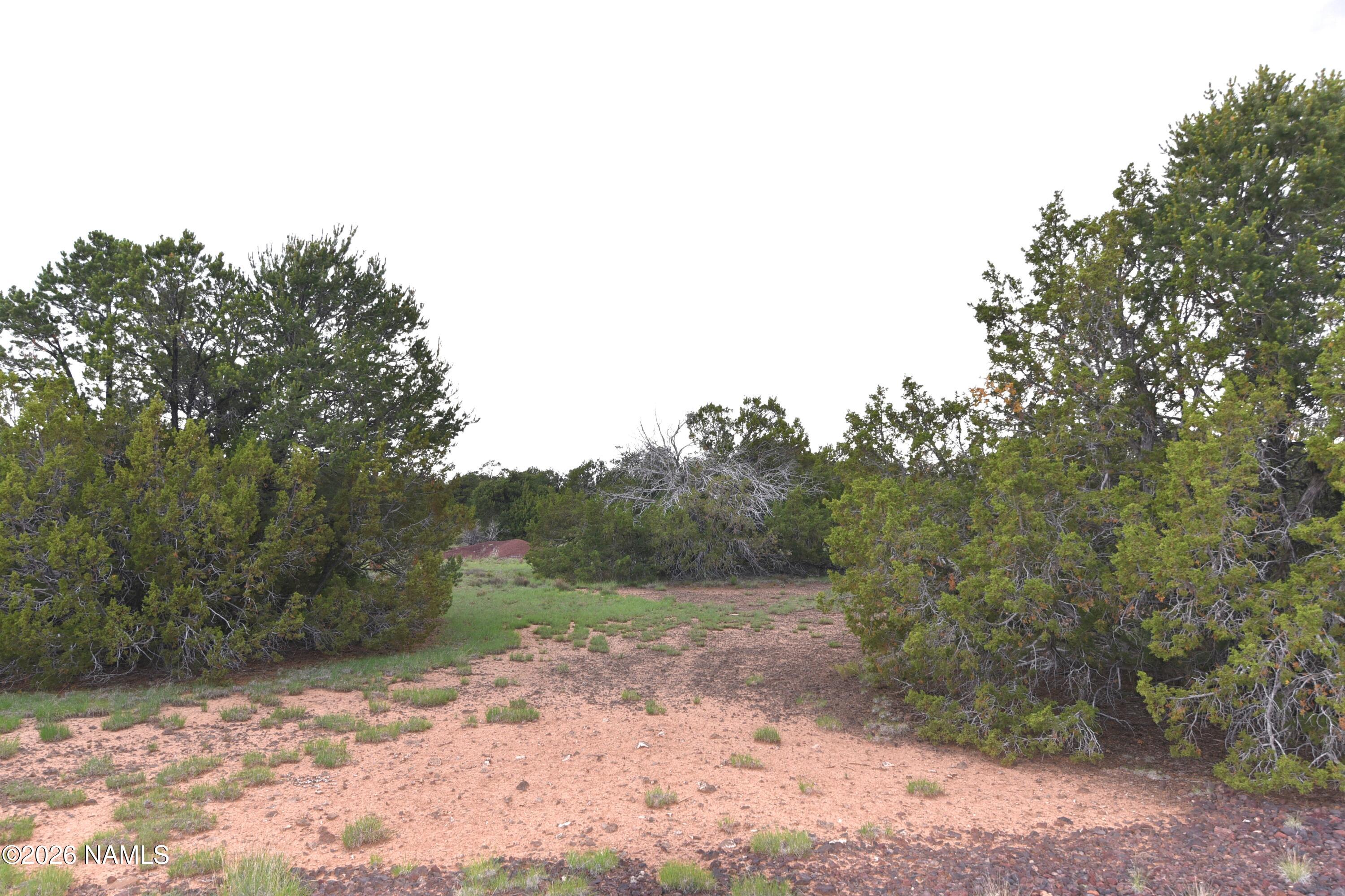 304 East Black Feather Road Williams, AZ 86046 - Photo 9 of 11 DSC_5320
