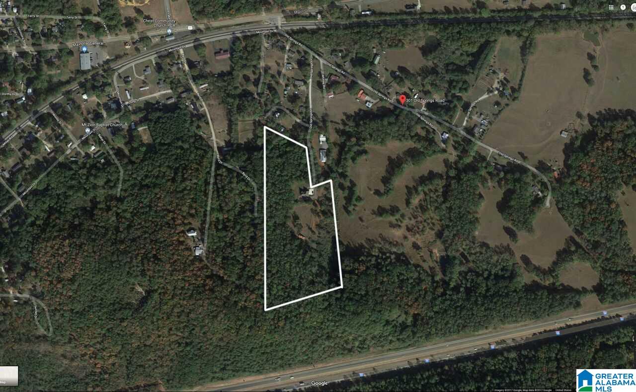 301 Old Springs Lane Springville, AL 35146 - Photo 29 of 29