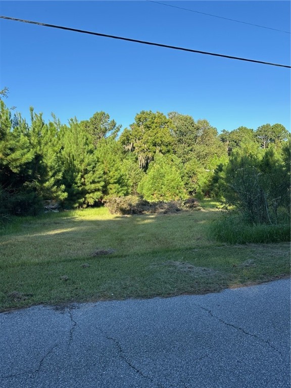 145 Knight Road Brunswick, GA 31525 - Photo 3 of 3