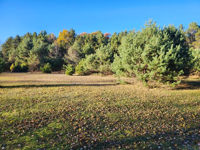 $190,000 | 17 9 9 Mile Road, Kaleva, MI 49645