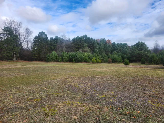 $190,000 | 17 9 9 Mile Road, Kaleva, MI 49645