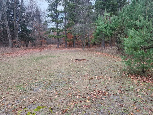 $190,000 | 17 9 9 Mile Road, Kaleva, MI 49645