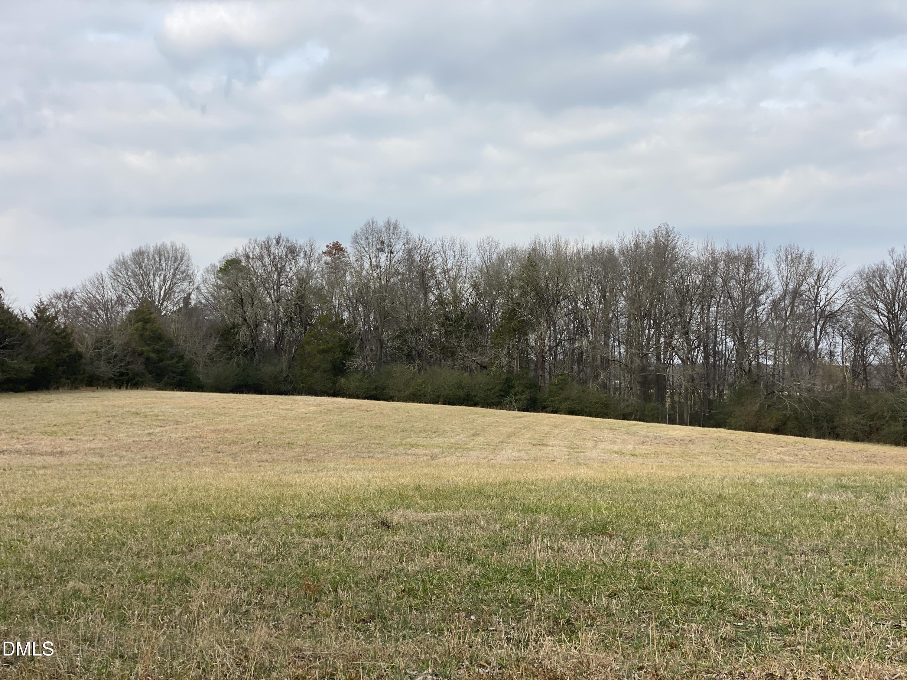 7157 Joe Branson Road Bennett, NC 27208 - Photo 1 of 25 a view of an outdoor space with mountain view