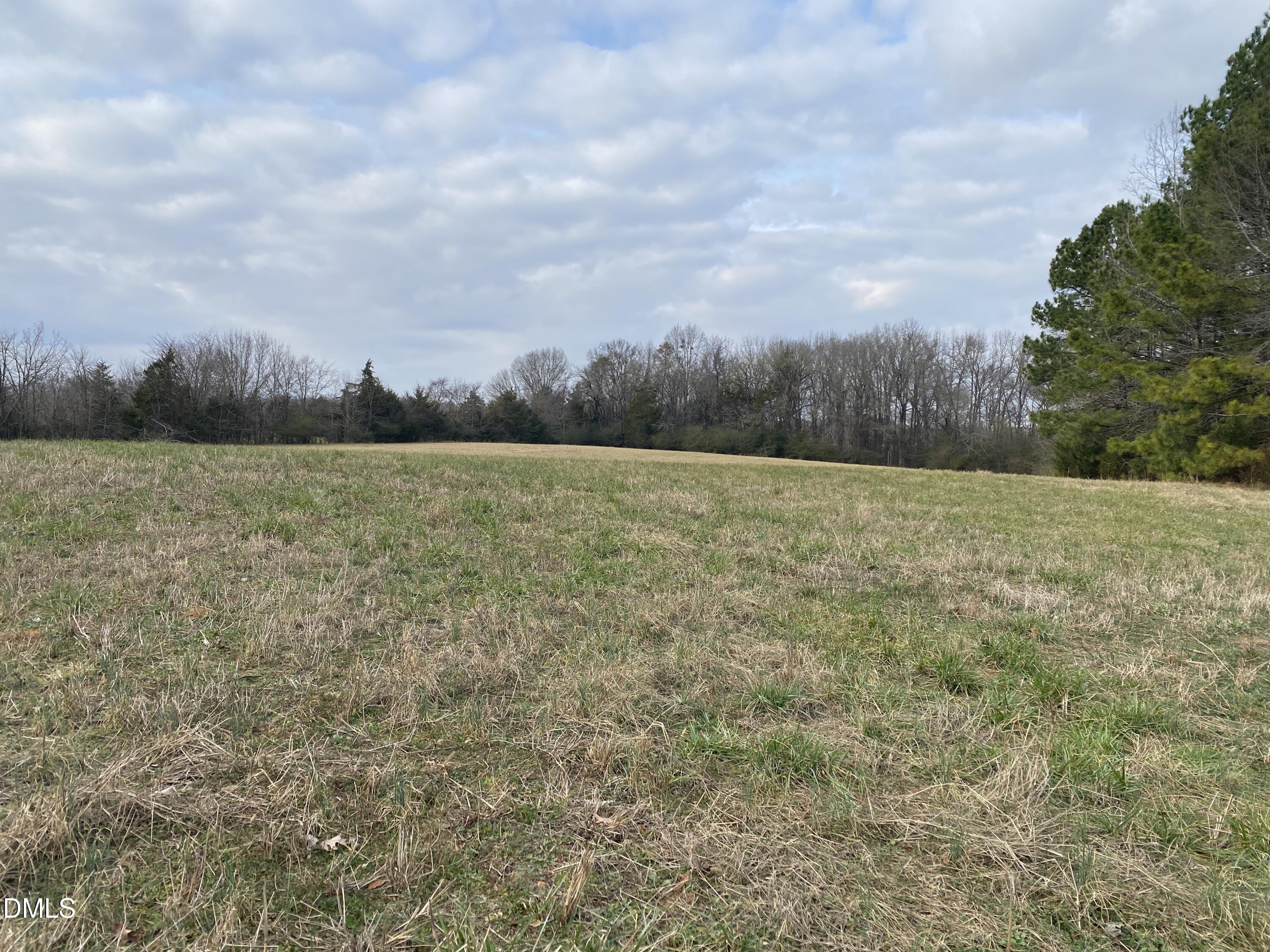 7157 Joe Branson Road Bennett, NC 27208 - Photo 11 of 25 a view of an outdoor space and a yard