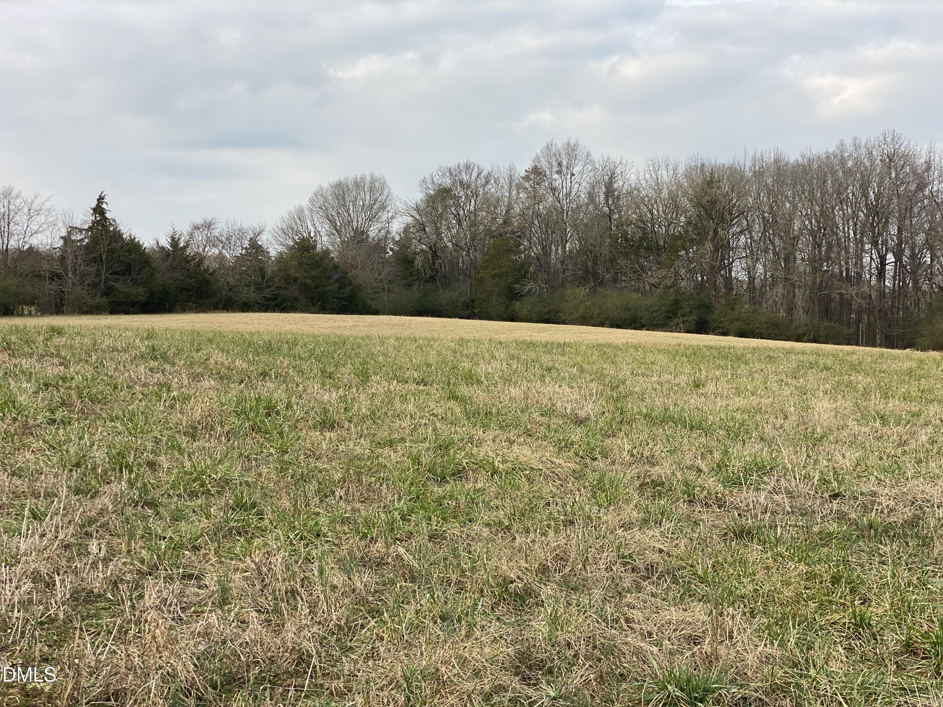 7157 Joe Branson Road Bennett, NC 27208 - Photo 12 of 25 a view of a field with trees in the background