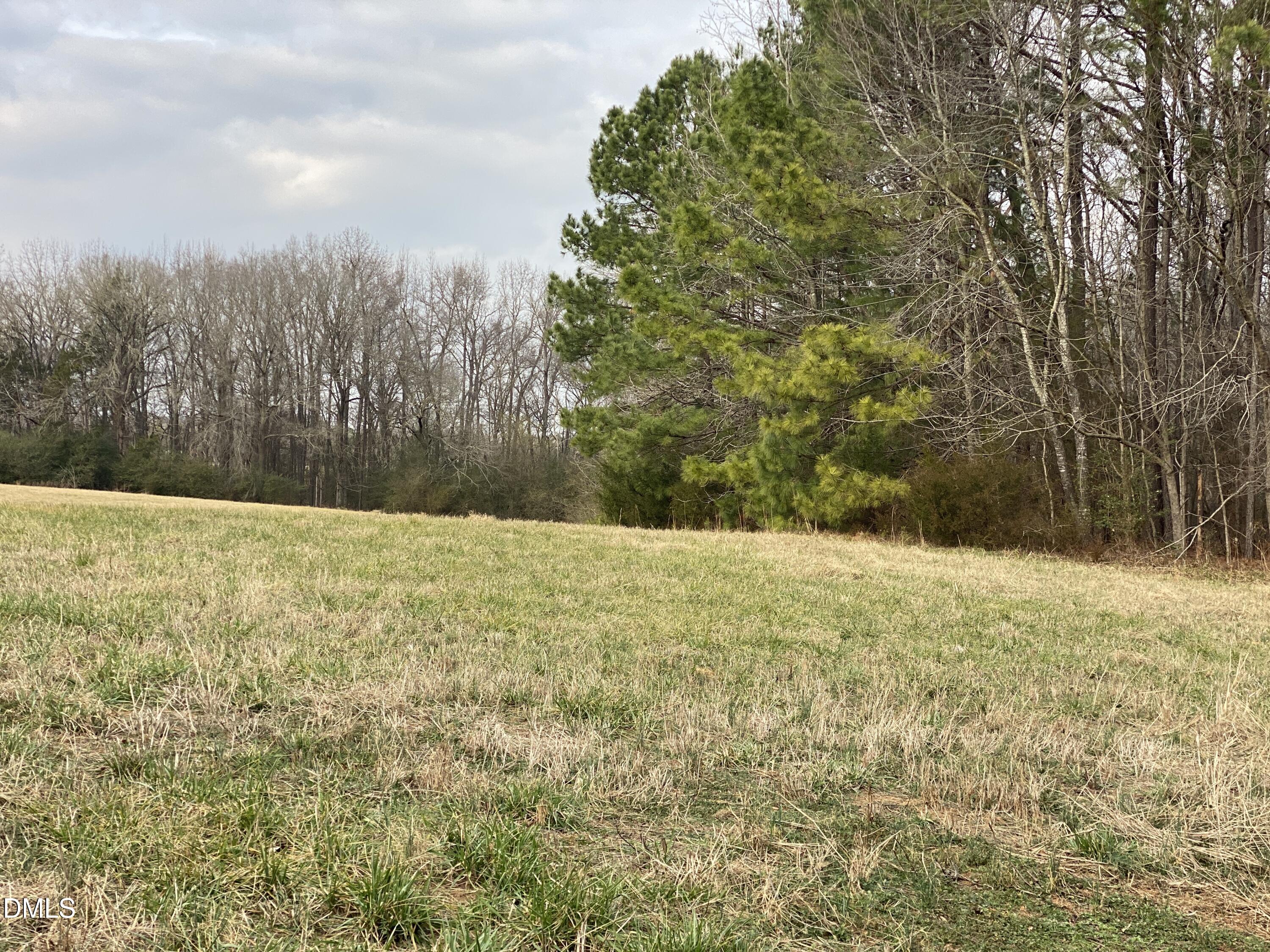 7157 Joe Branson Road Bennett, NC 27208 - Photo 13 of 25