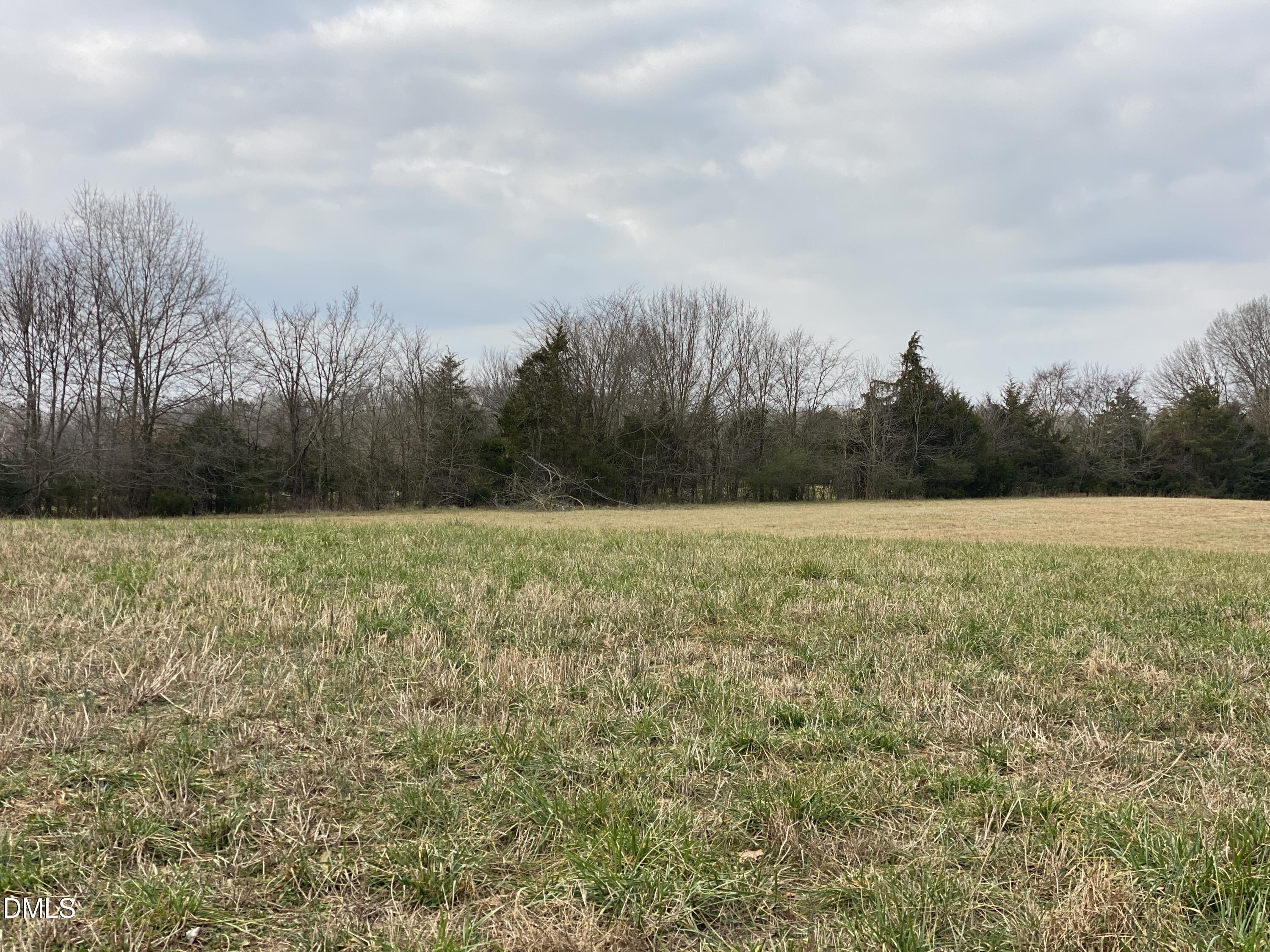 7157 Joe Branson Road Bennett, NC 27208 - Photo 14 of 25 a view of a field with trees in background