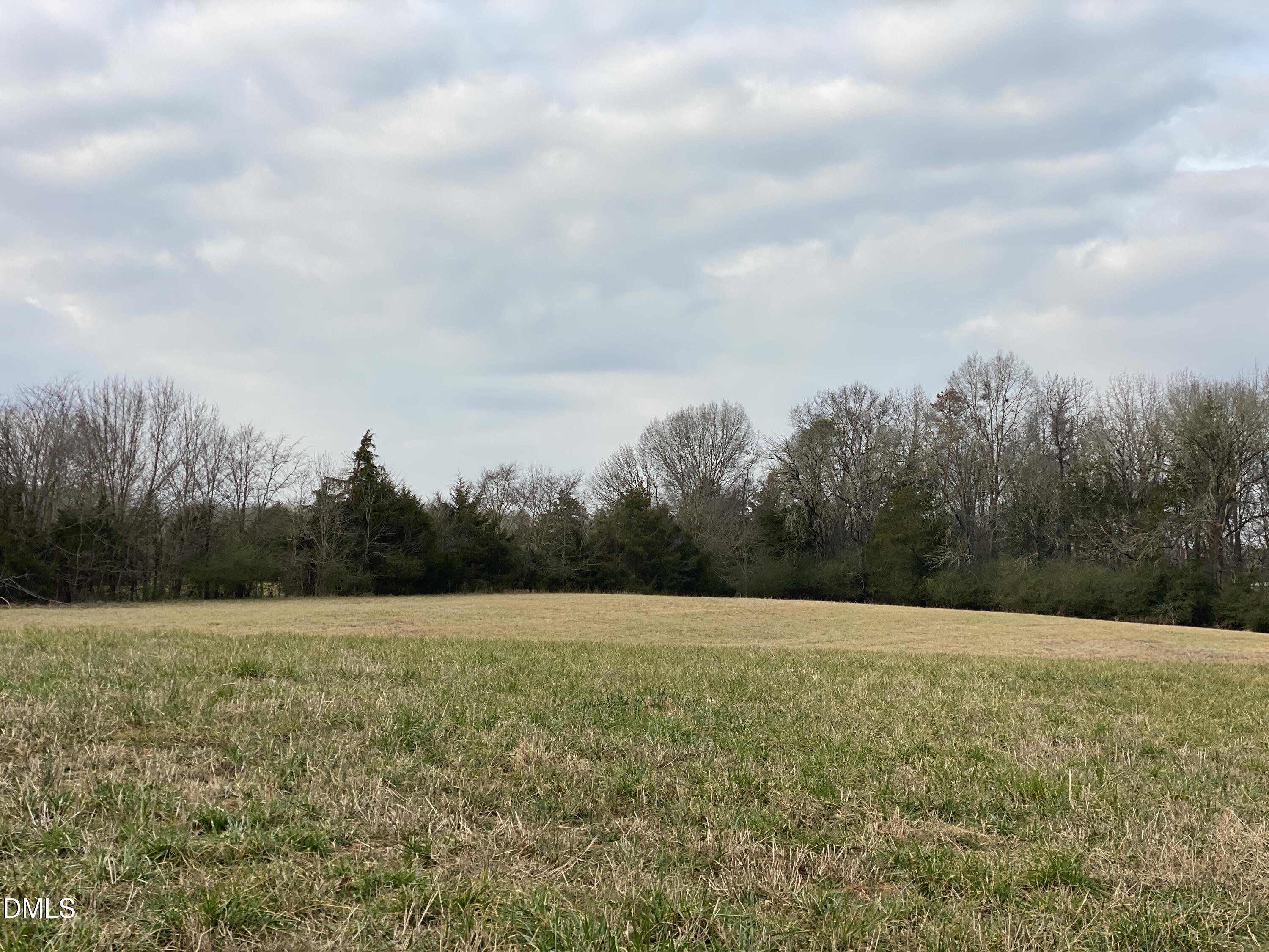 7157 Joe Branson Road Bennett, NC 27208 - Photo 15 of 25 a view of patio with a yard