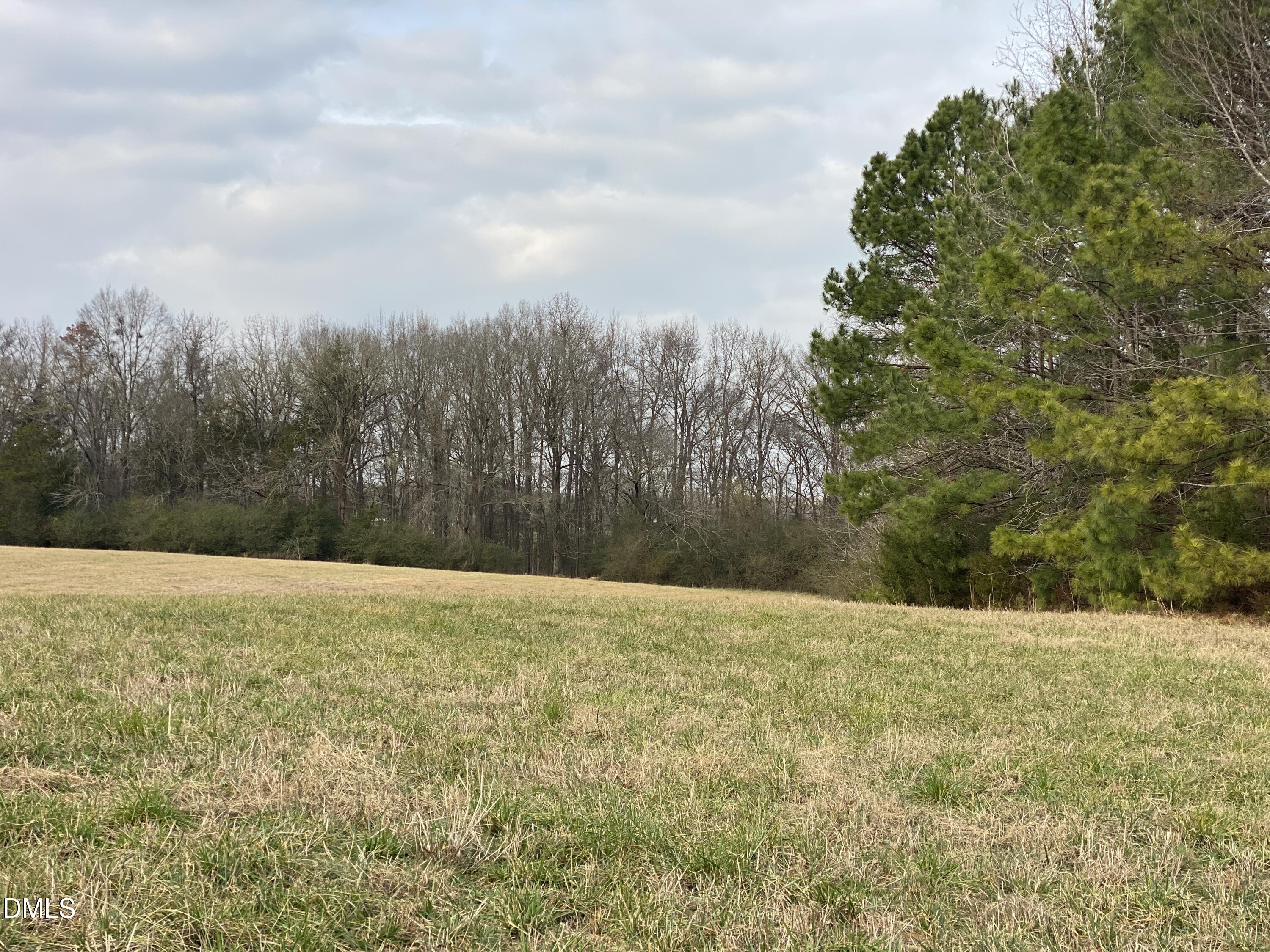 7157 Joe Branson Road Bennett, NC 27208 - Photo 16 of 25 a view of an outdoor space and a yard