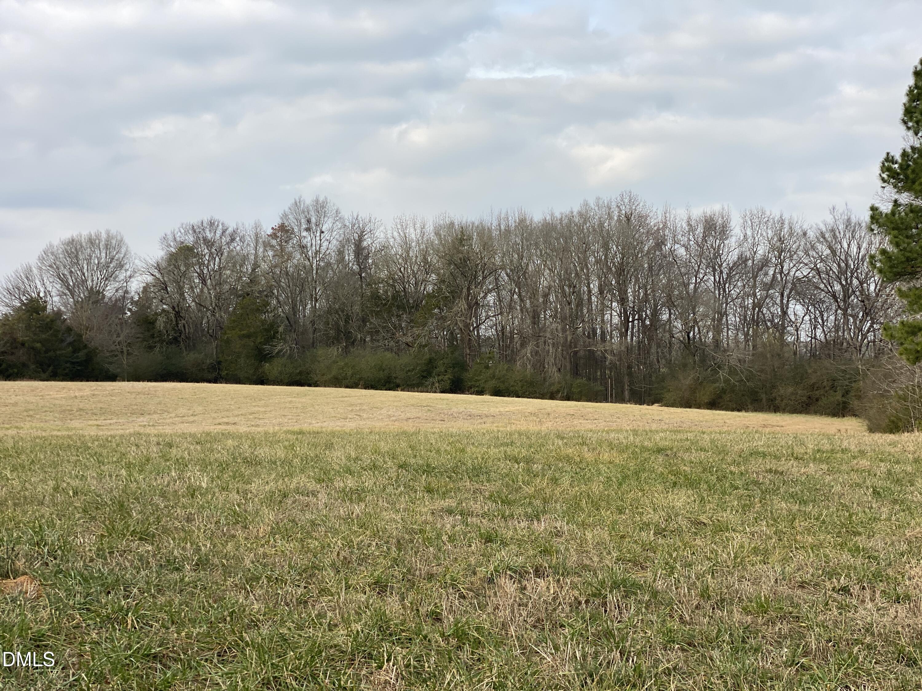 7157 Joe Branson Road Bennett, NC 27208 - Photo 17 of 25 a view of outdoor space with yard