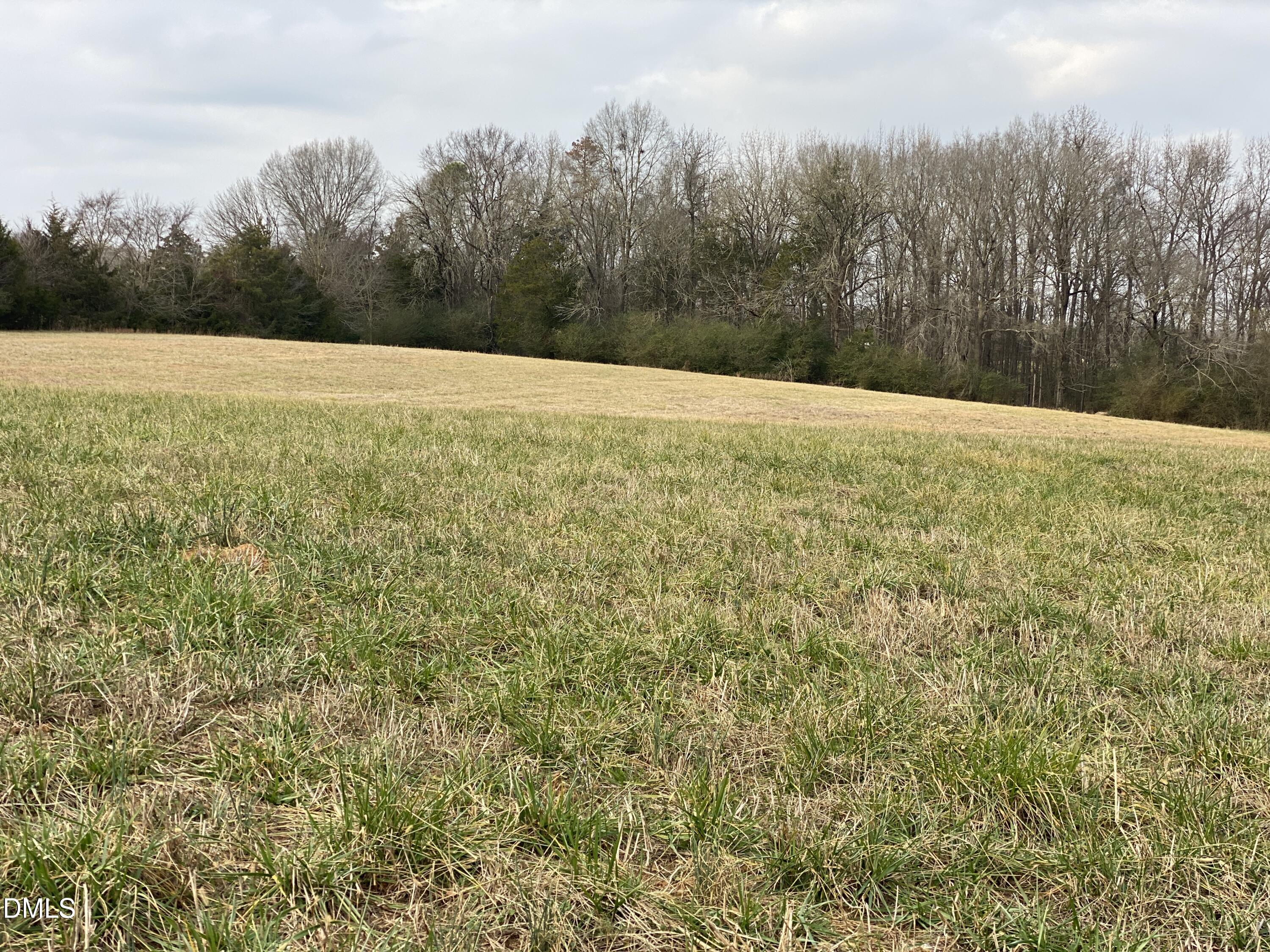 7157 Joe Branson Road Bennett, NC 27208 - Photo 18 of 25 a view of an outdoor space and a yard