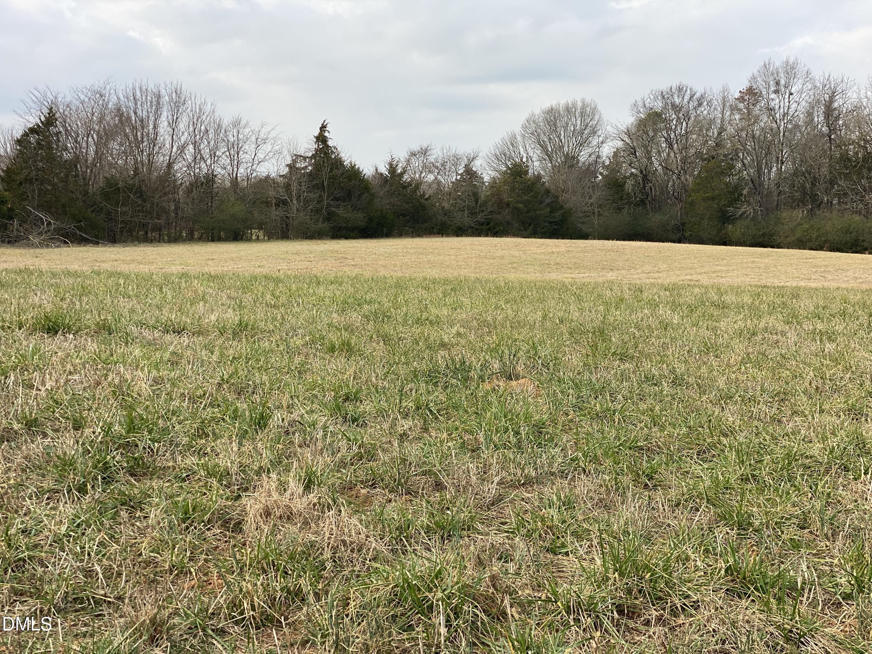 7157 Joe Branson Road Bennett, NC 27208 - Photo 19 of 25 a view of an outdoor space and a yard