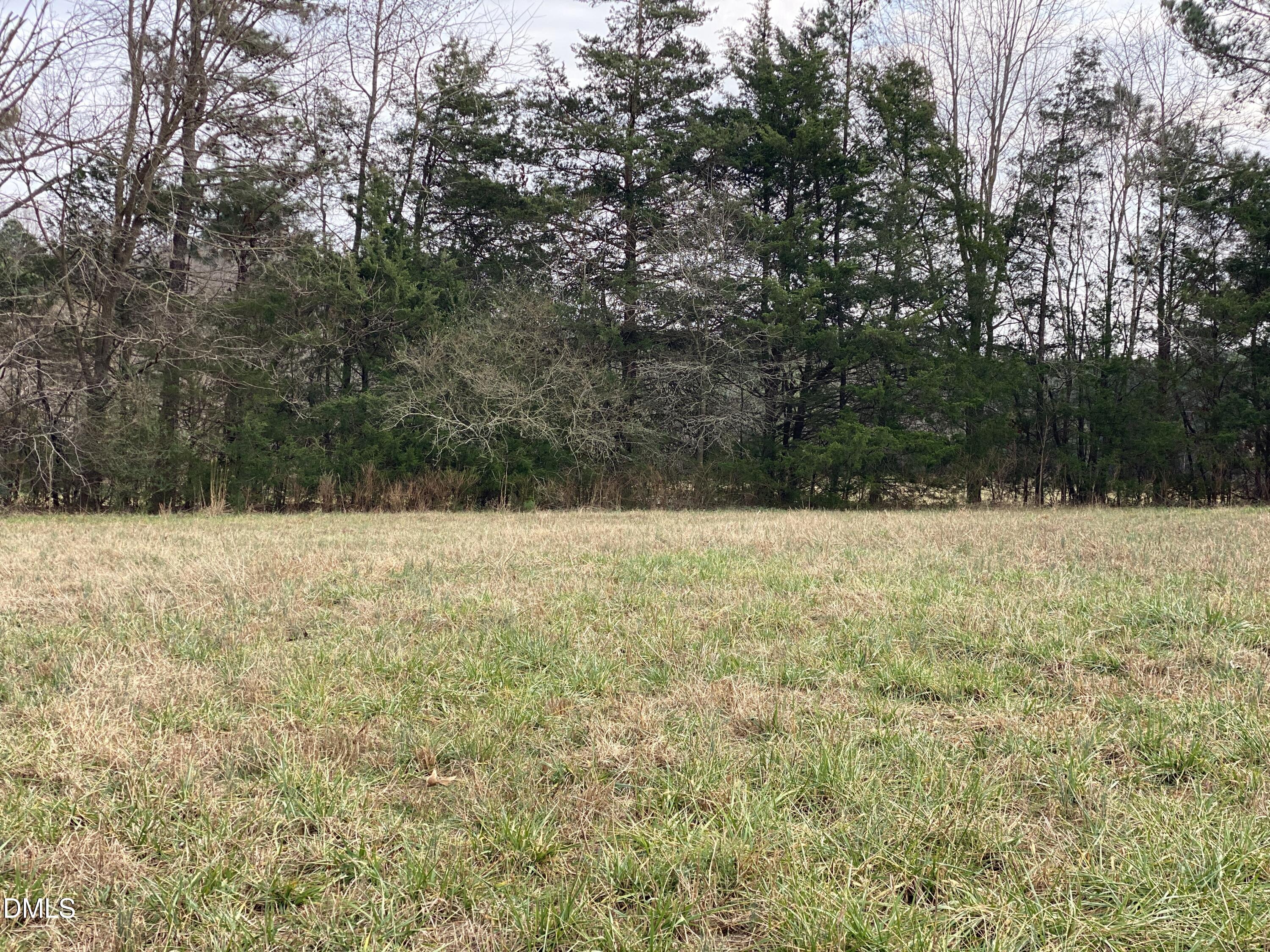 7157 Joe Branson Road Bennett, NC 27208 - Photo 20 of 25 a view of yard and covered with snow