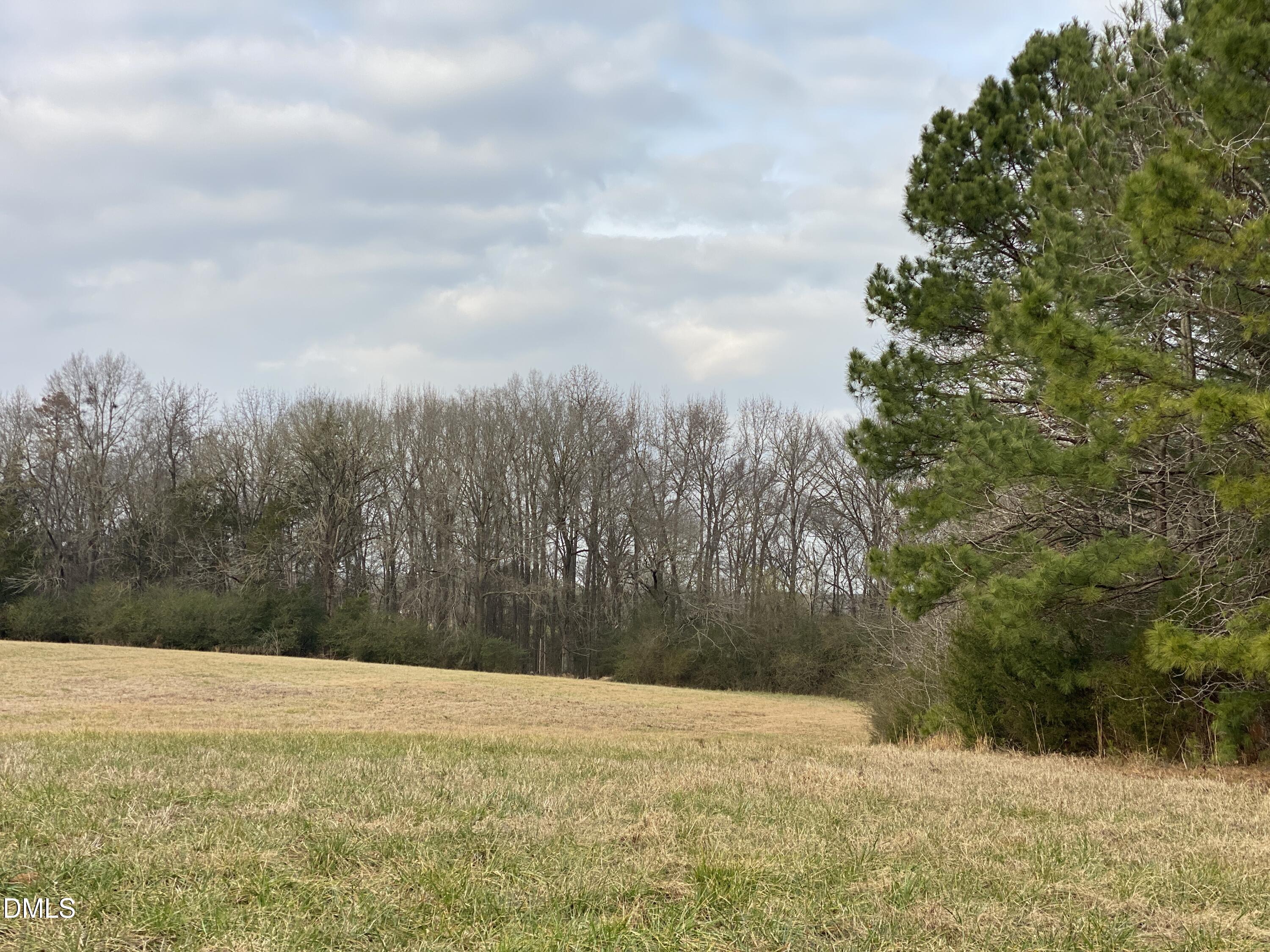 7157 Joe Branson Road Bennett, NC 27208 - Photo 21 of 25 a view of a yard