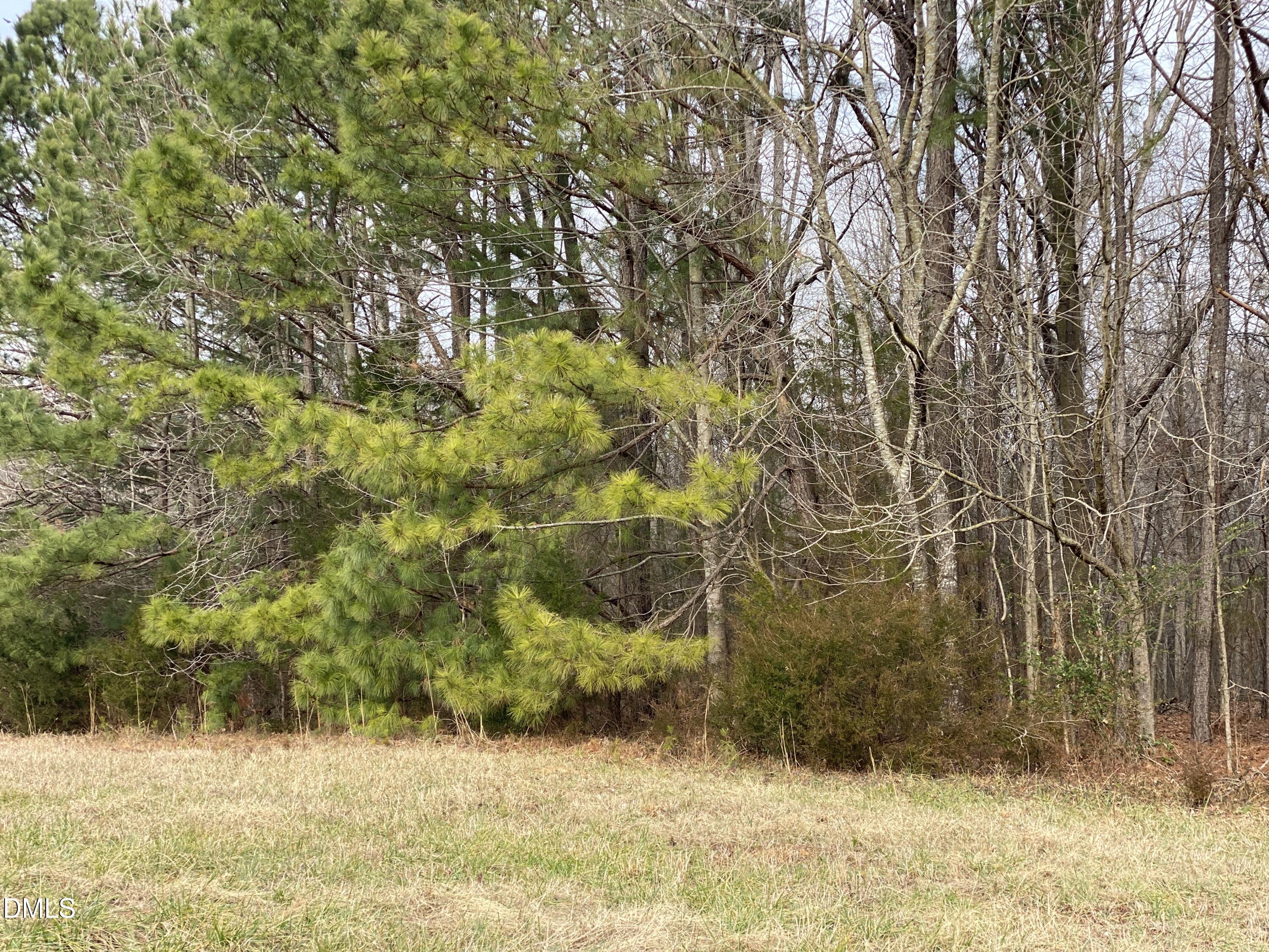 7157 Joe Branson Road Bennett, NC 27208 - Photo 22 of 25 a view of a yard