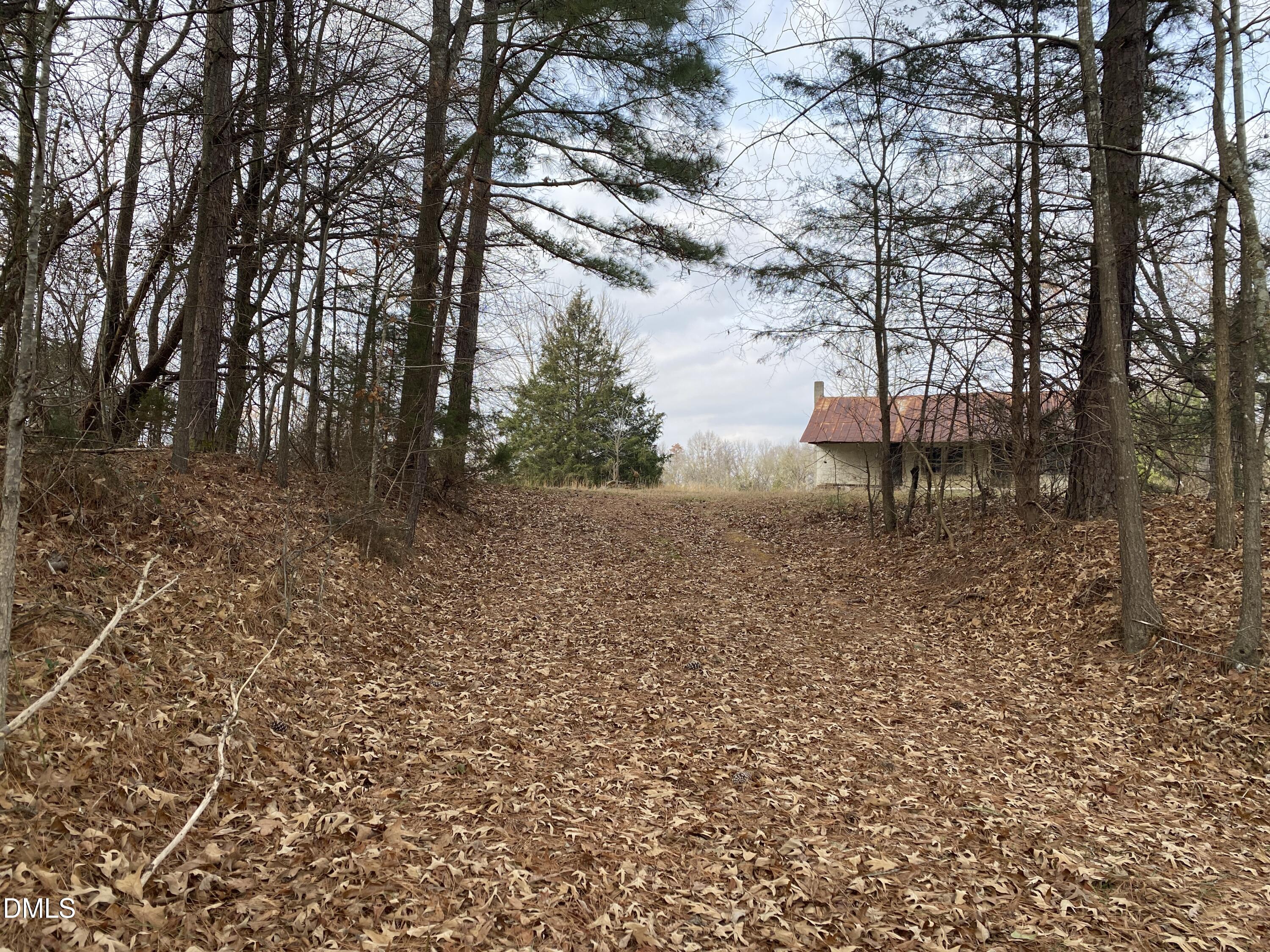 7157 Joe Branson Road Bennett, NC 27208 - Photo 25 of 25 a backyard of a house with lots of green space