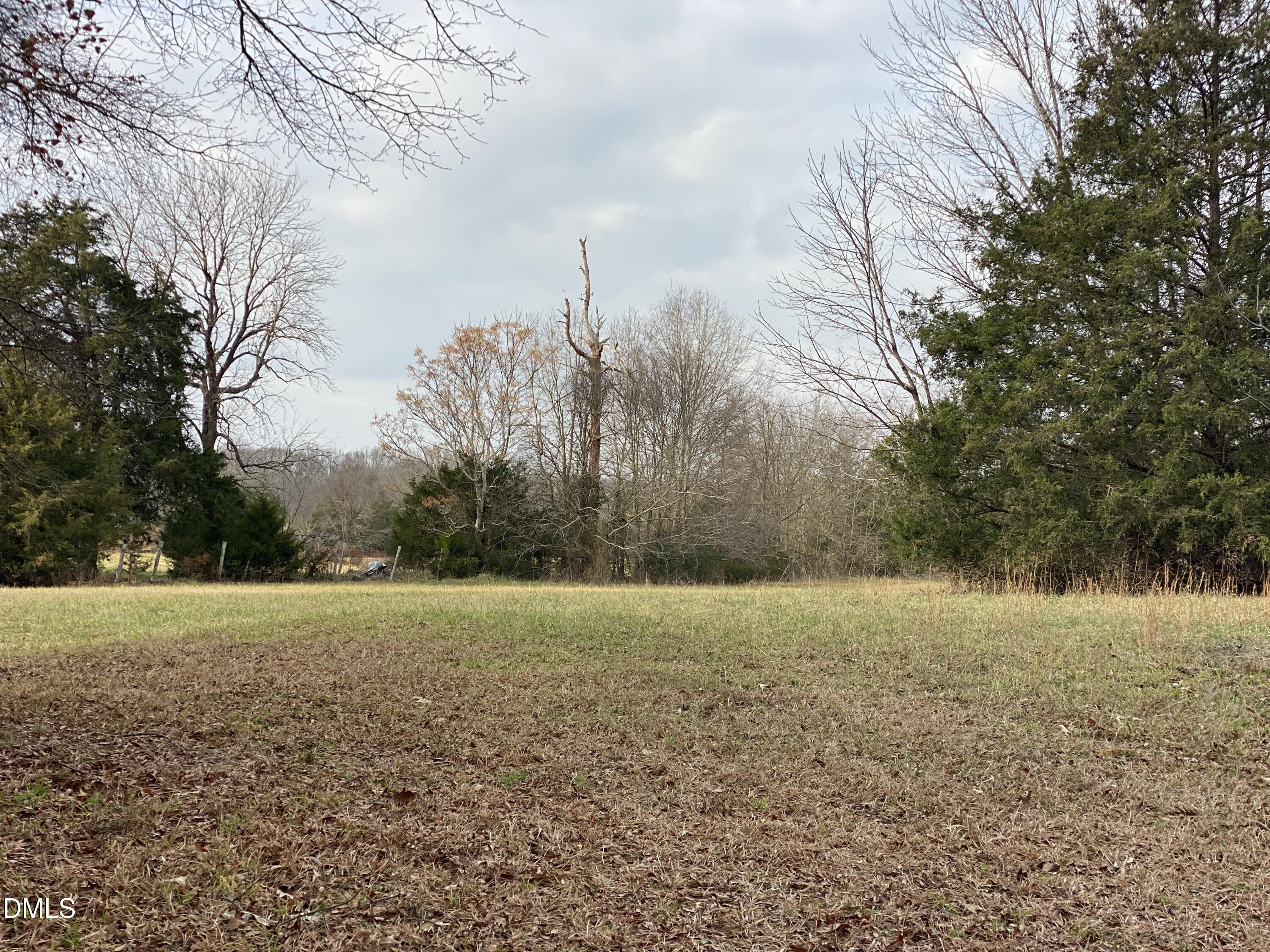 7157 Joe Branson Road Bennett, NC 27208 - Photo 4 of 25 a view of a field with trees in the background