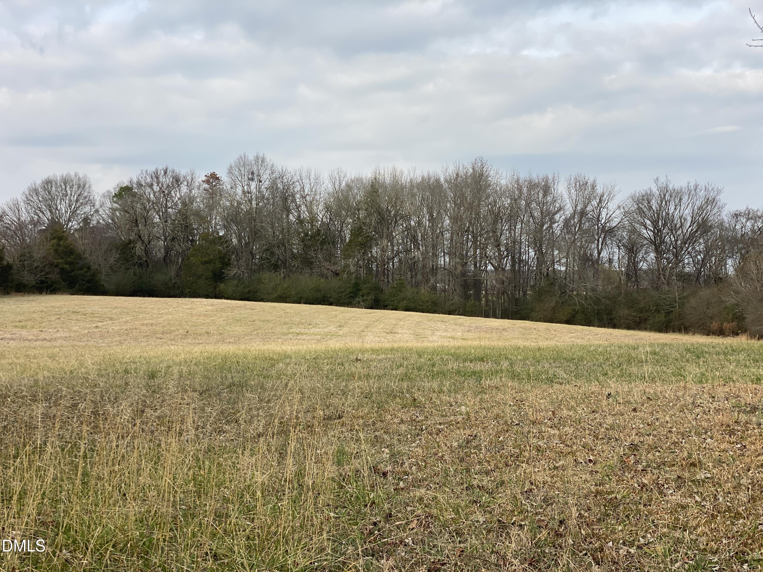 7157 Joe Branson Road Bennett, NC 27208 - Photo 5 of 25 a view of under with large trees