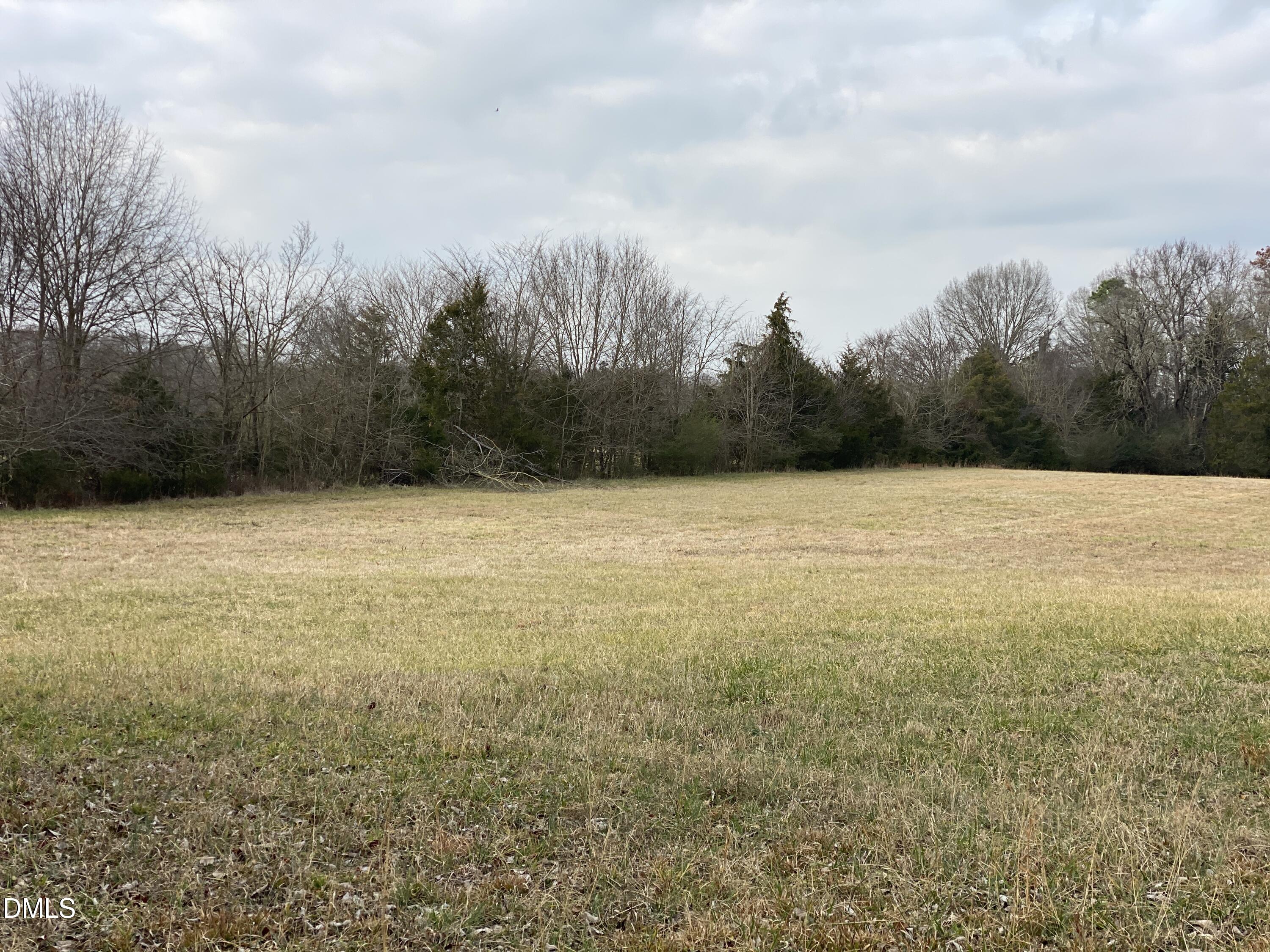 7157 Joe Branson Road Bennett, NC 27208 - Photo 6 of 25