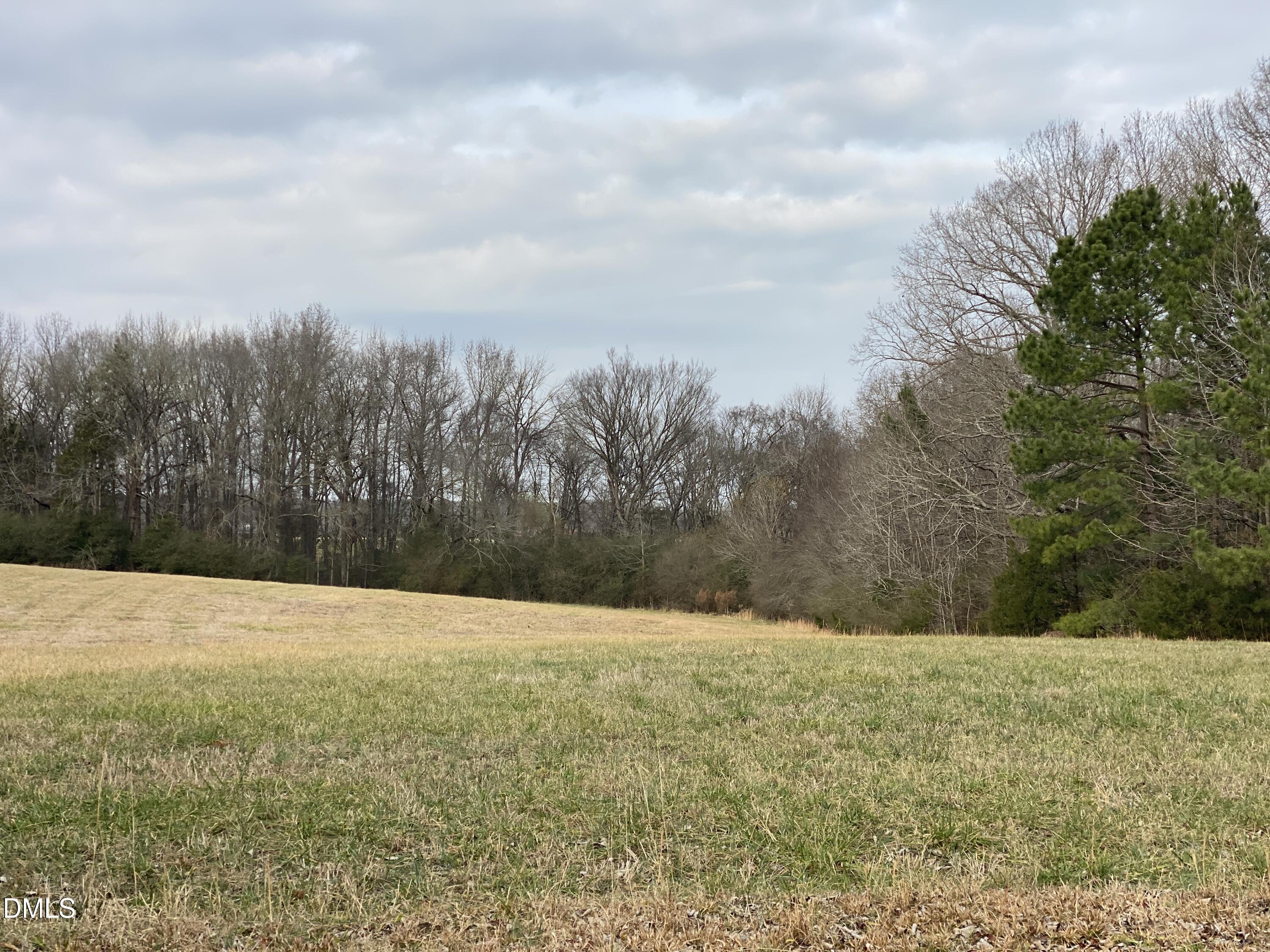 7157 Joe Branson Road Bennett, NC 27208 - Photo 7 of 25 a view of yard with trees