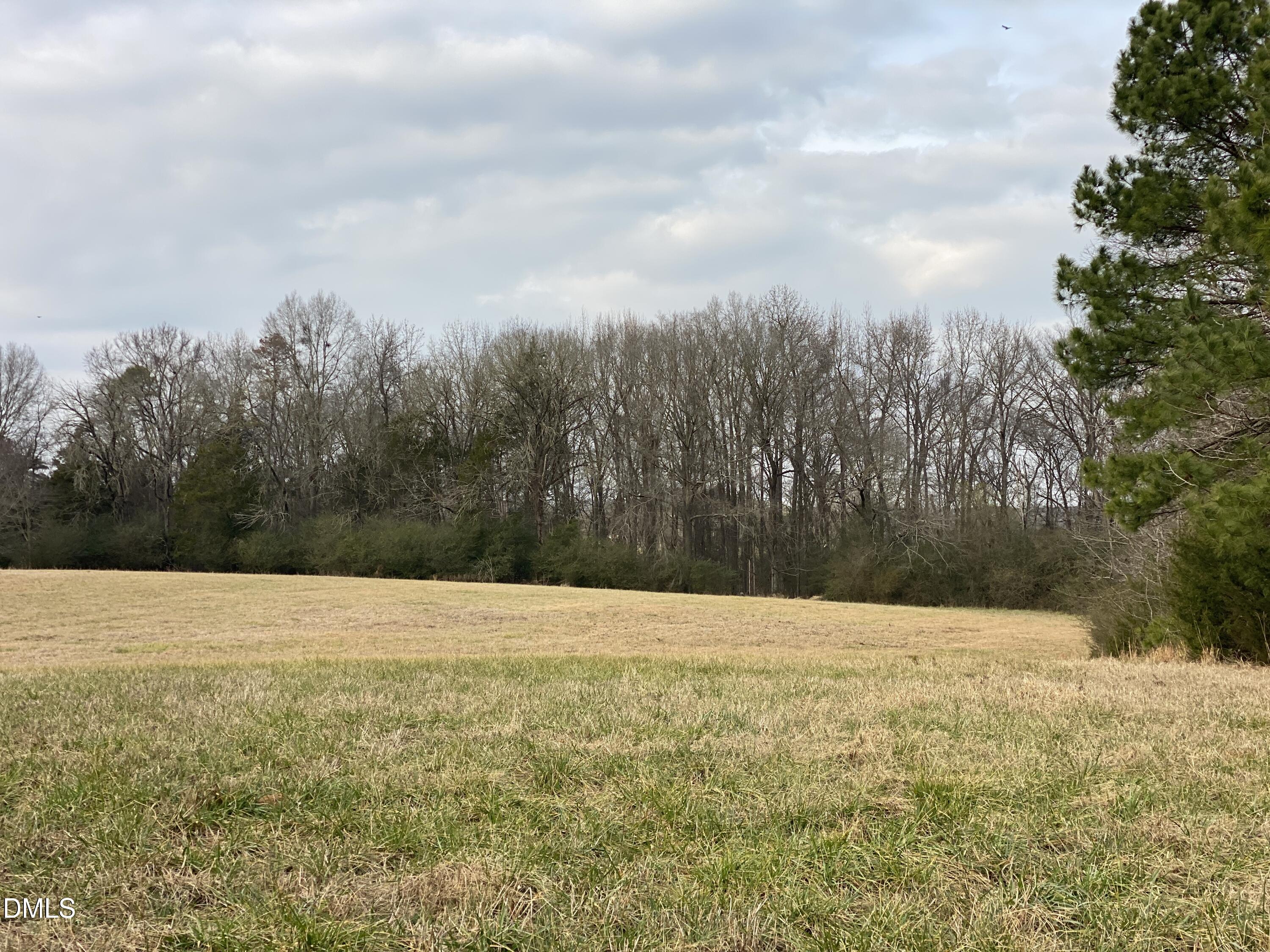 7157 Joe Branson Road Bennett, NC 27208 - Photo 8 of 25 a view of an outdoor space and mountain view