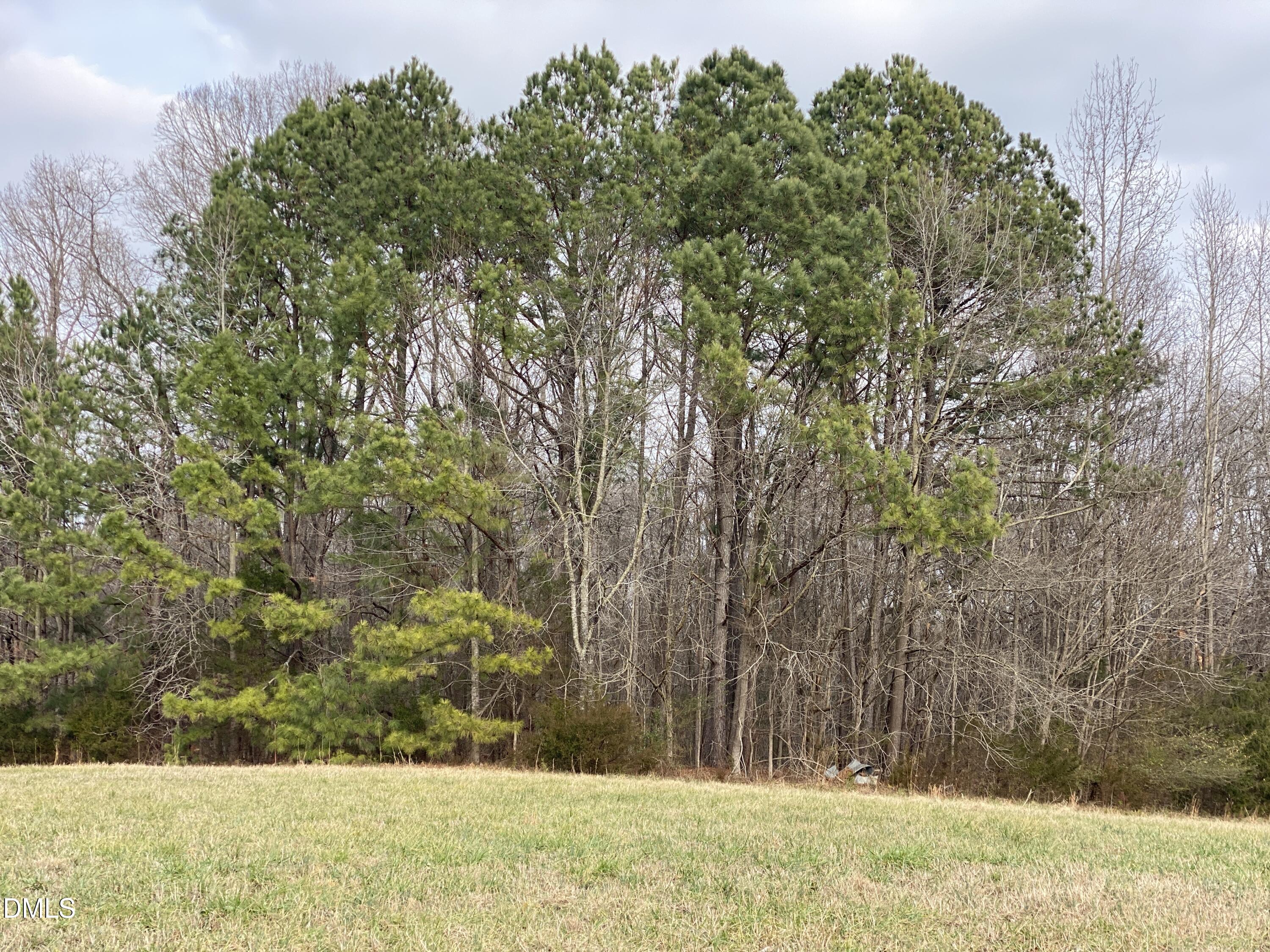 7157 Joe Branson Road Bennett, NC 27208 - Photo 9 of 25 a view of a yard