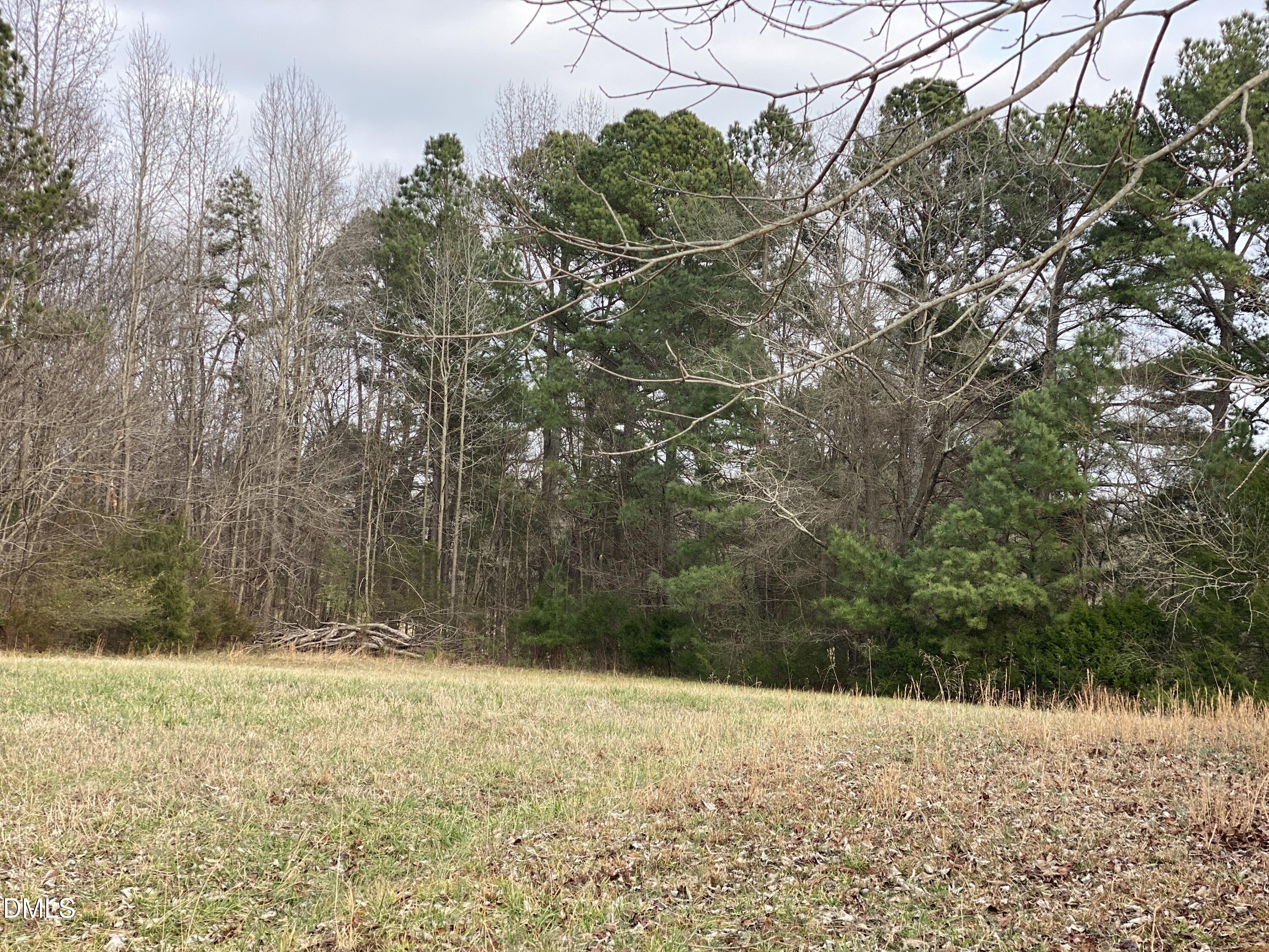 7157 Joe Branson Road Bennett, NC 27208 - Photo 10 of 25 a view of a yard