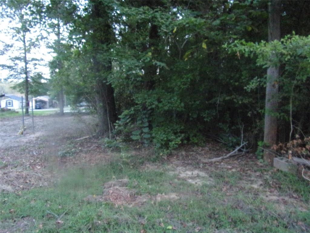 Tbd Walnut Trail Murchison, TX 75778 - Photo 1 of 1 a view of a forest with trees in the background