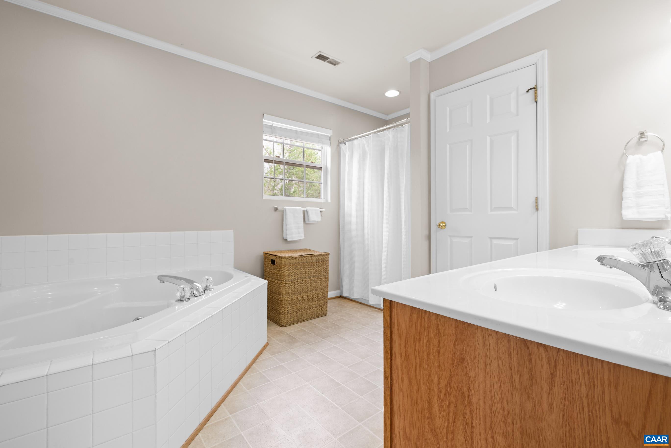 17 Hopi Way Palmyra, VA 22963 - Photo 33 of 36 a spacious bathroom with a bathtub and sink