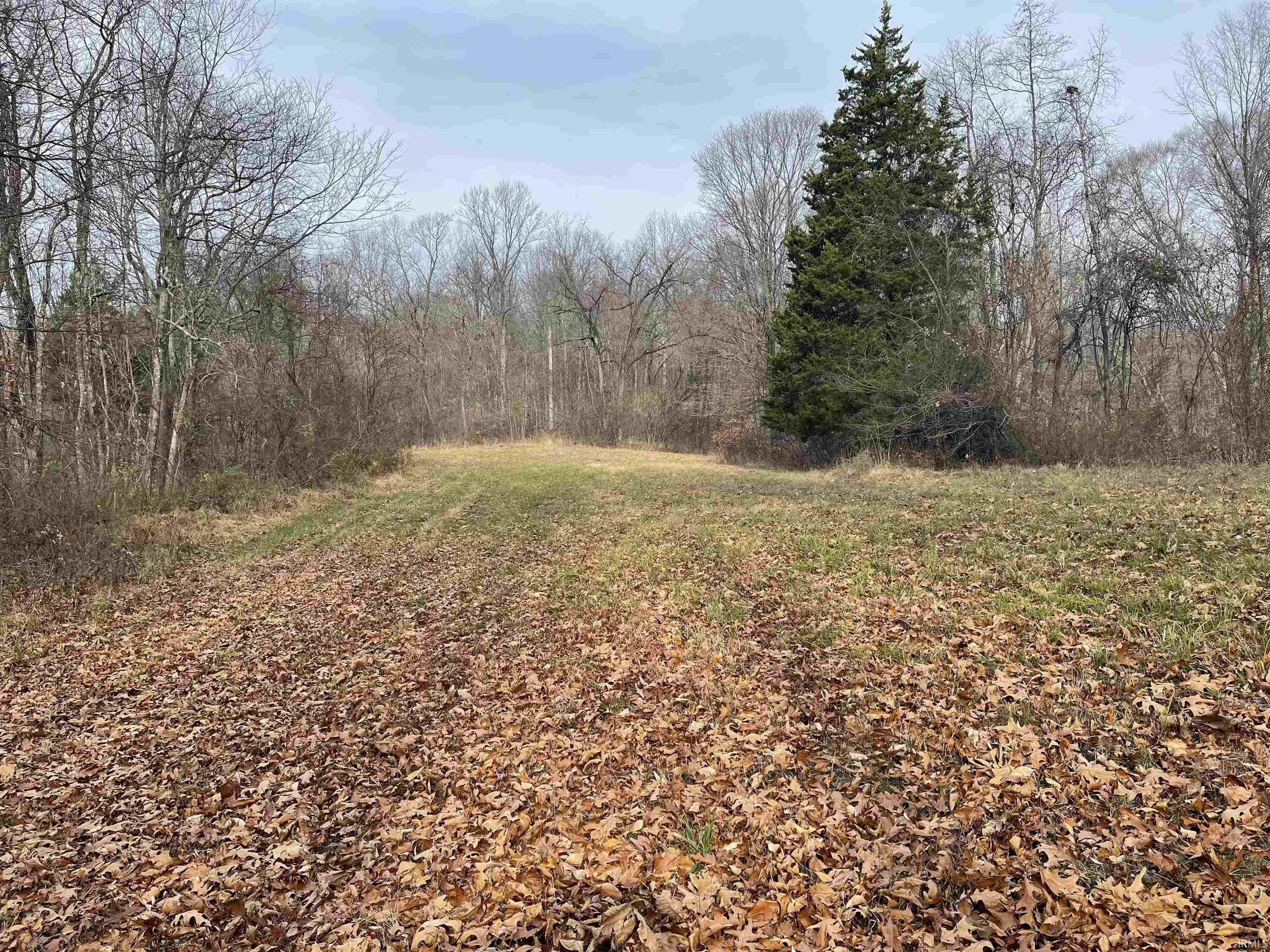 0 Suttle Bloomfield, IN 47424 - Photo 9 of 17