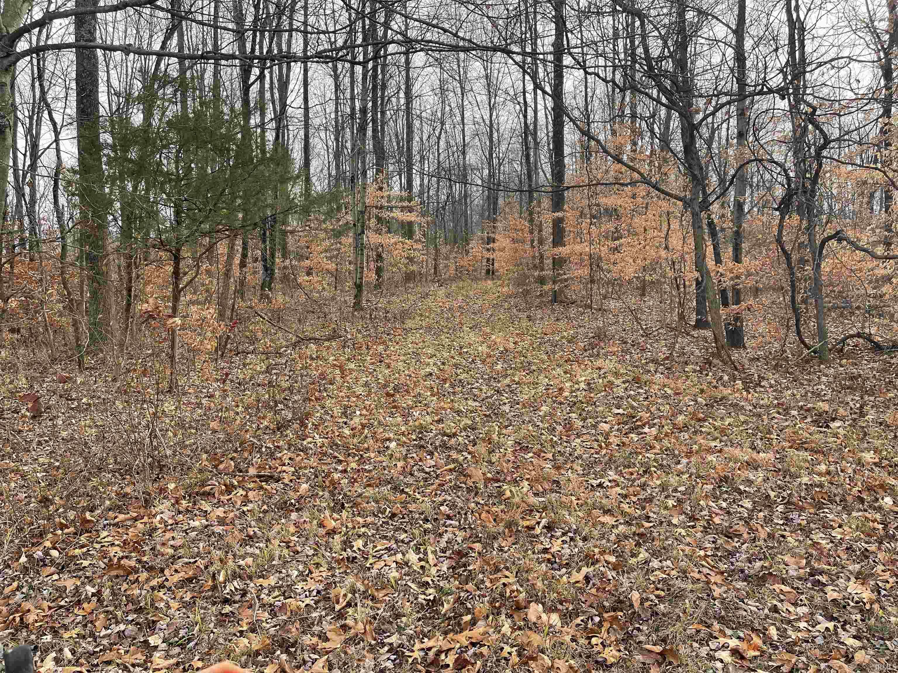 0 Suttle Bloomfield, IN 47424 - Photo 10 of 17