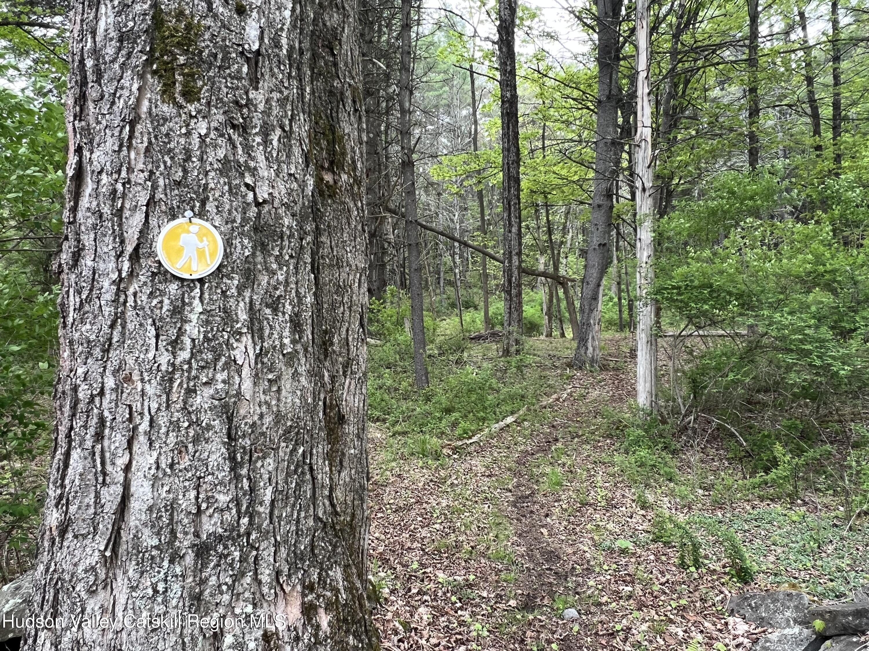 189 Ingalside Road Greenville, NY 12083 - Photo 42 of 42 189_Ingalside__UpstateCurious-43abc