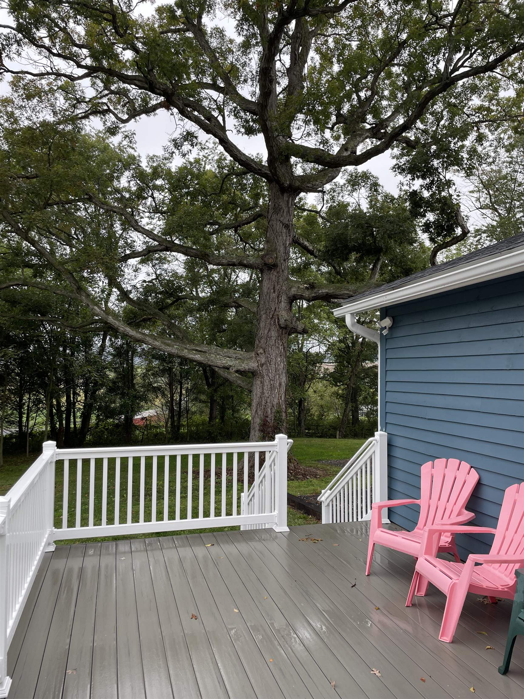 7493 Greenmount Road Harrisonburg, VA 22802 - Photo 59 of 68 Gallery Image 59