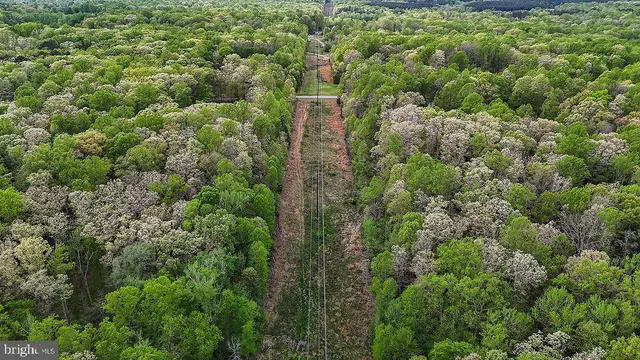 a view of a green field with lots of bushes