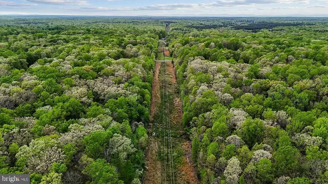 a view of a garden with a building