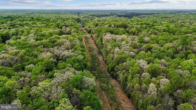 a view of a plants and small trees