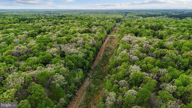a view of a green field with lots of bushes