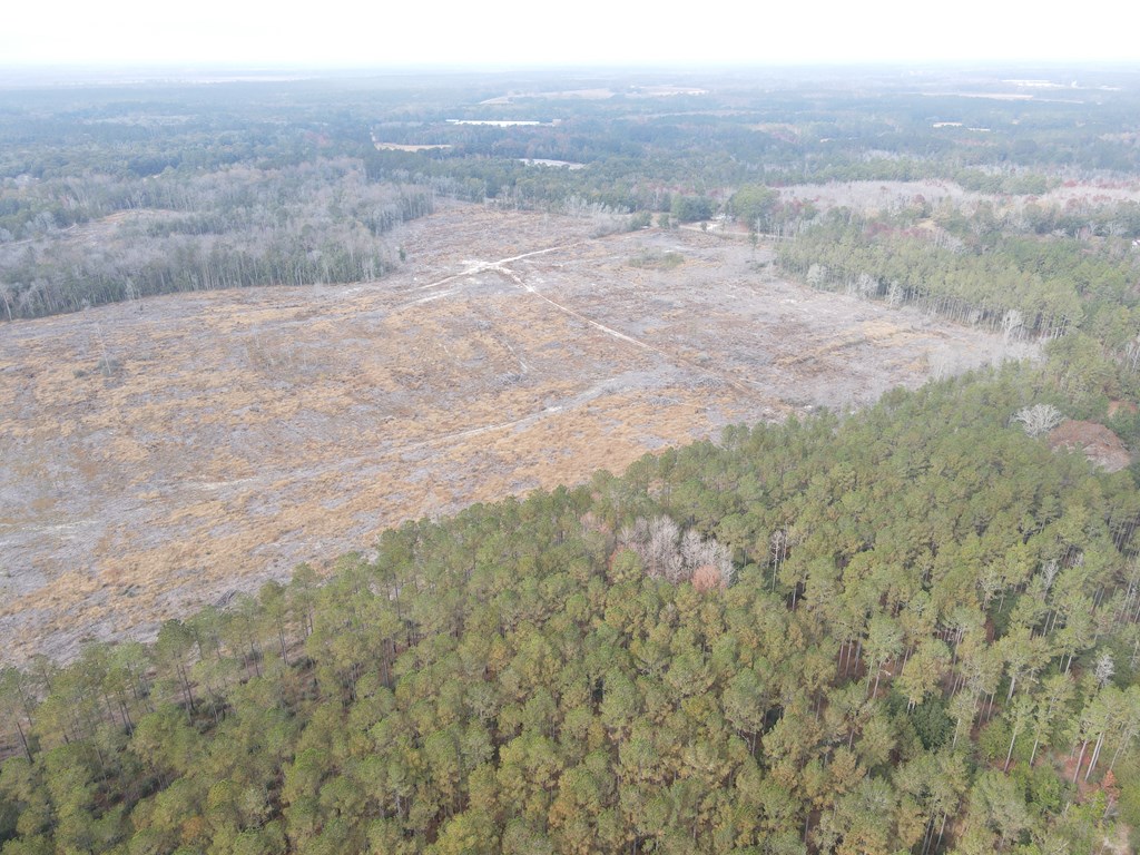 24-acres Goat Hill Road Samson, AL 36477 - Photo 3 of 10
