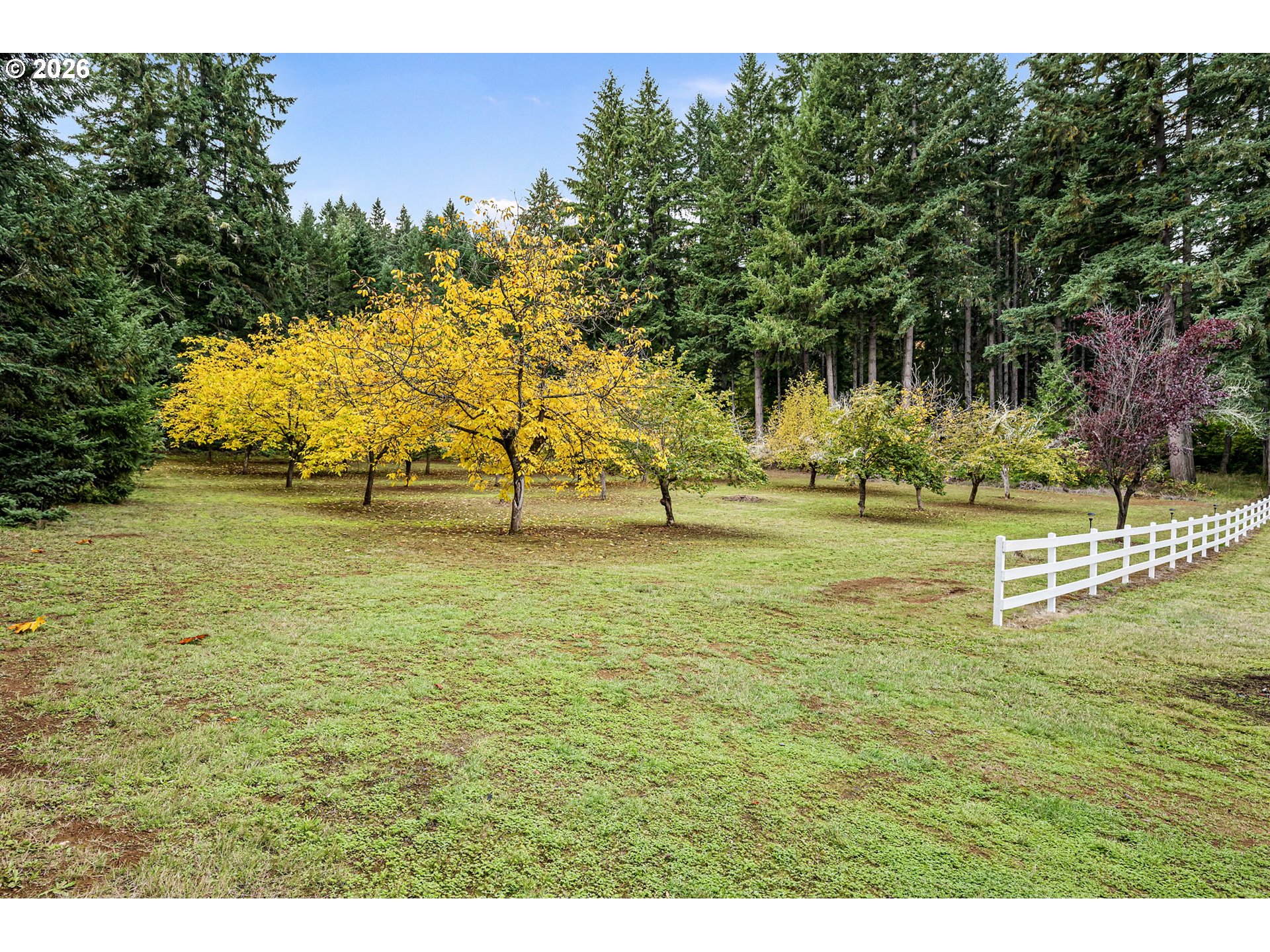 35982 Shoreview Drive Dorena, OR 97434 - Photo 37 of 46