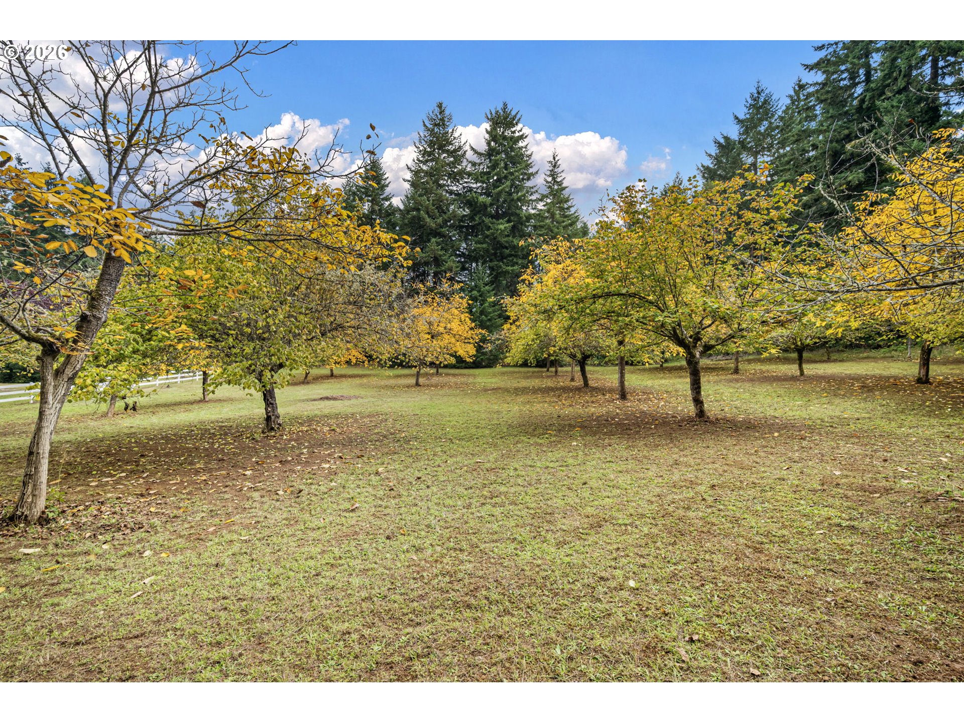 35982 Shoreview Drive Dorena, OR 97434 - Photo 38 of 46